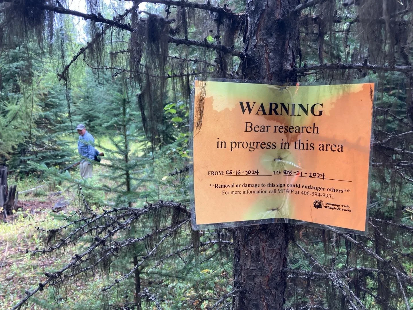 Bear sign while grouse hunting today&hellip;