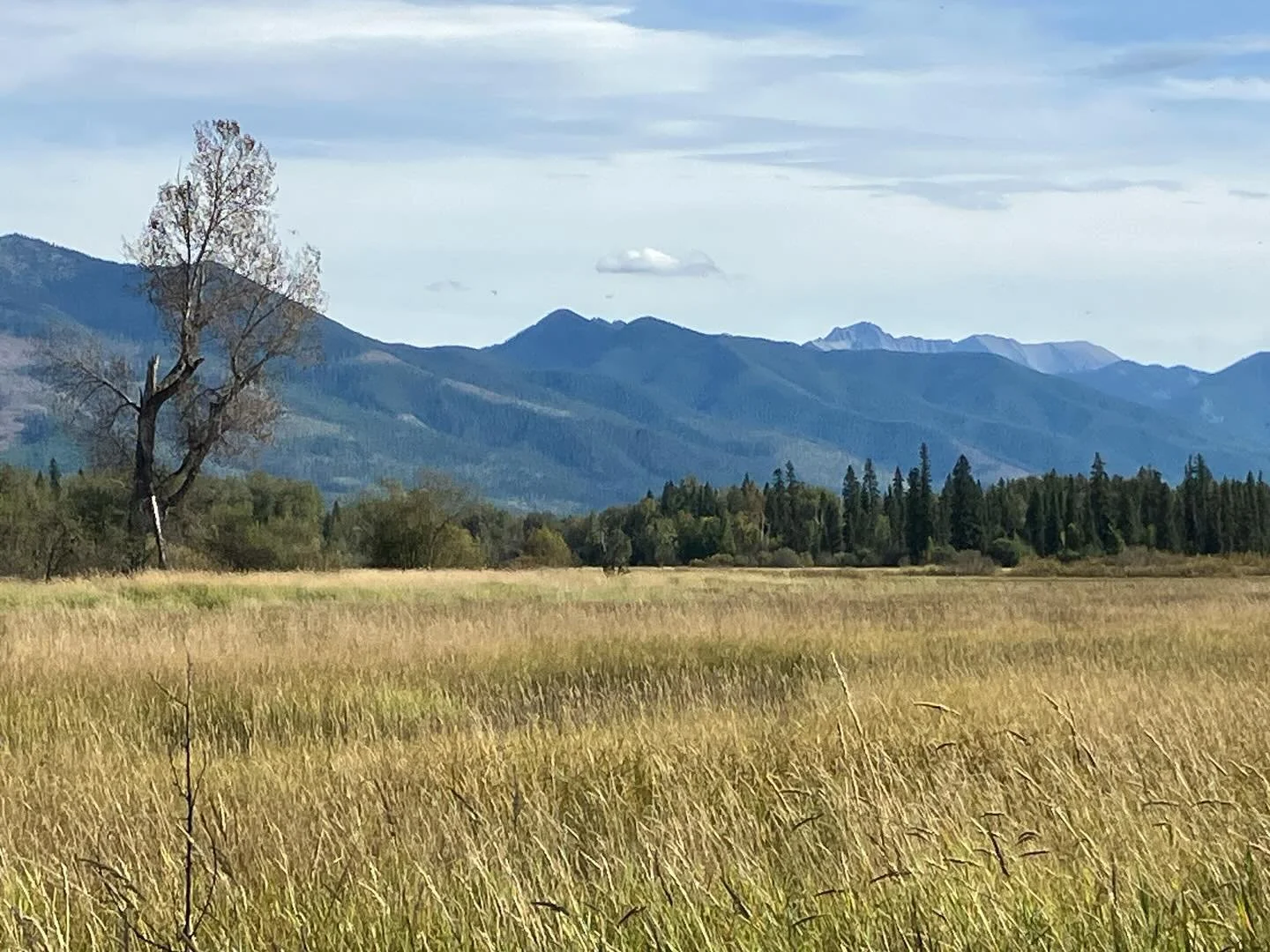 Swan Peak peeks over the Swan Range. IMO the Swan River National Wildlife Refuge is the prettiest refuge in the system. But feel free to prove me wrong. #usfishandwildlifeservice #nationalwildliferefuge #publiclands