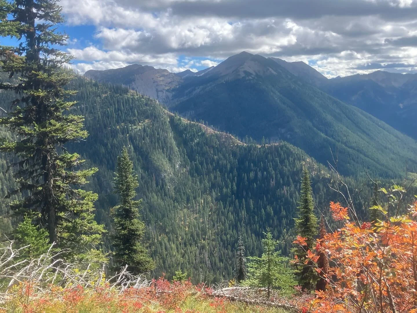 Happy Public Lands Day from your #publiclands in this case the #flatheadnationalforest #montana