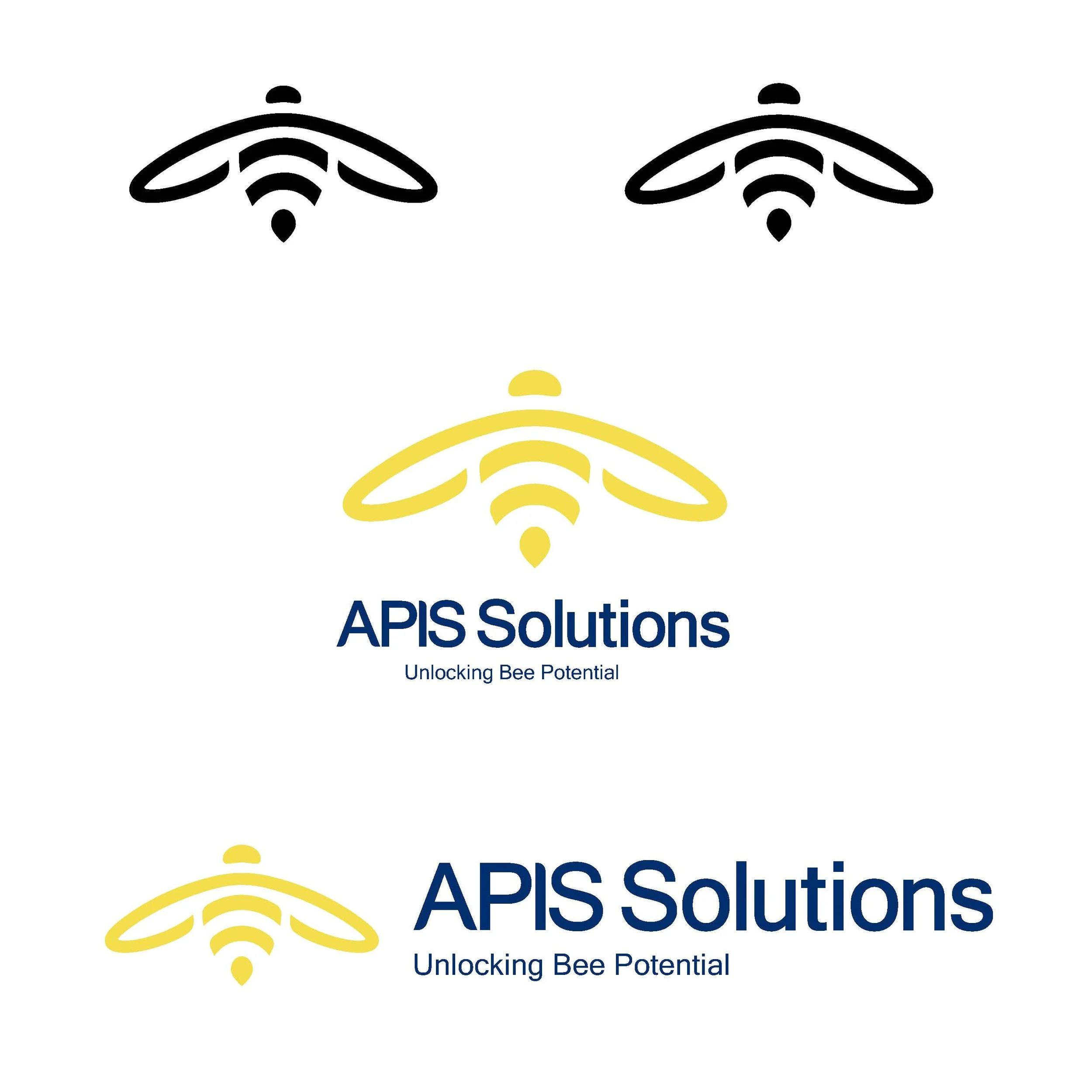 Iapis logo development_options_Page_2.jpg