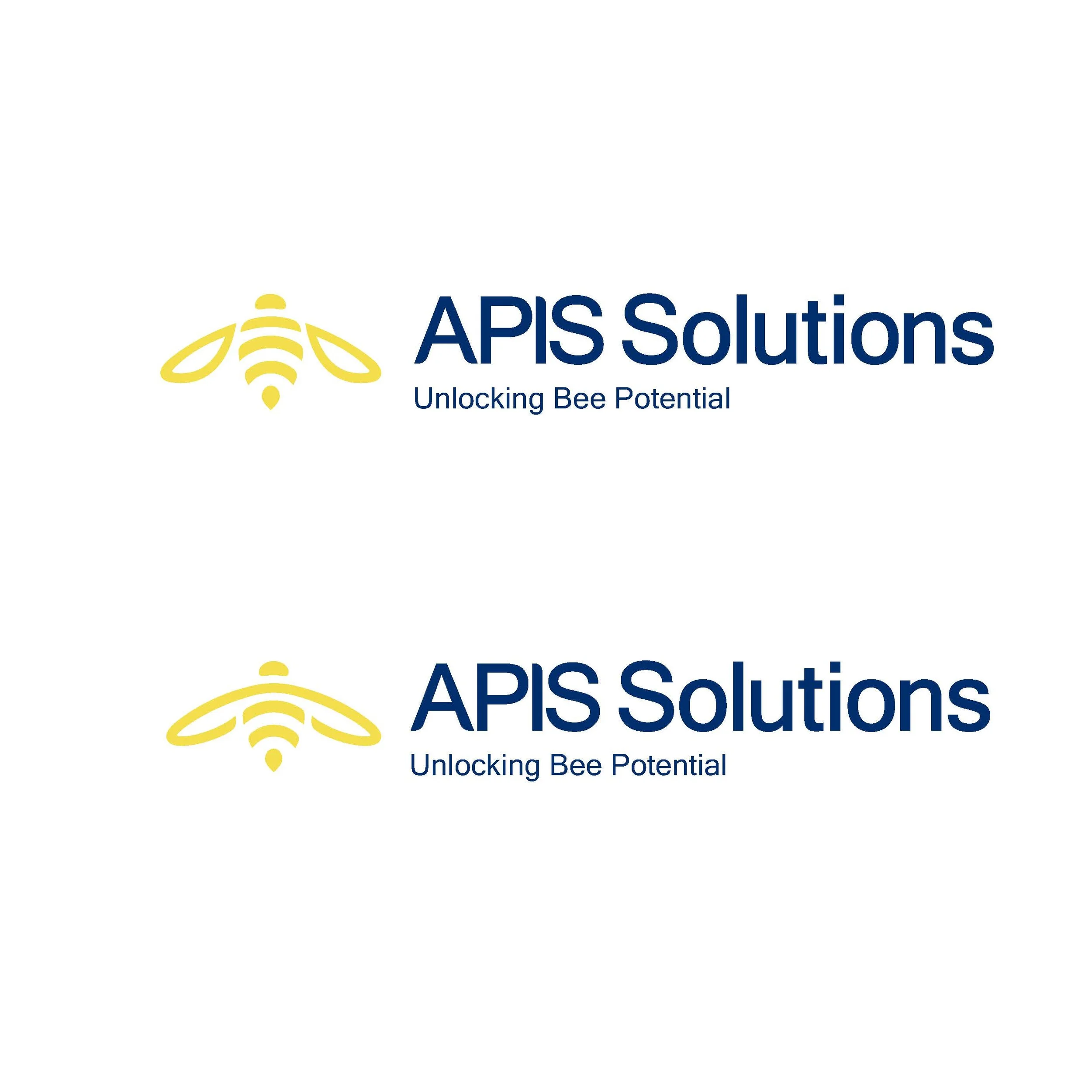 Iapis logo development_options_Page_5.jpg