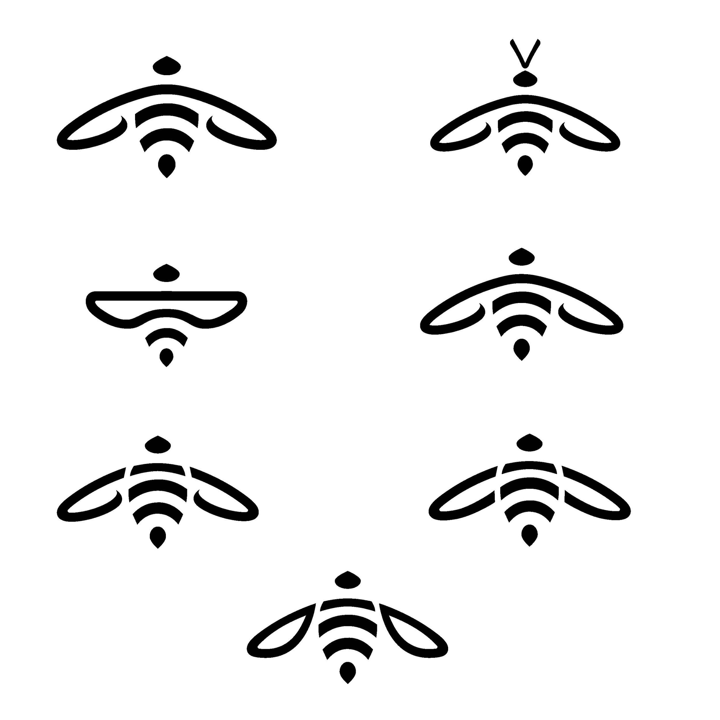 Iapis logo development_options_Page_1.jpg