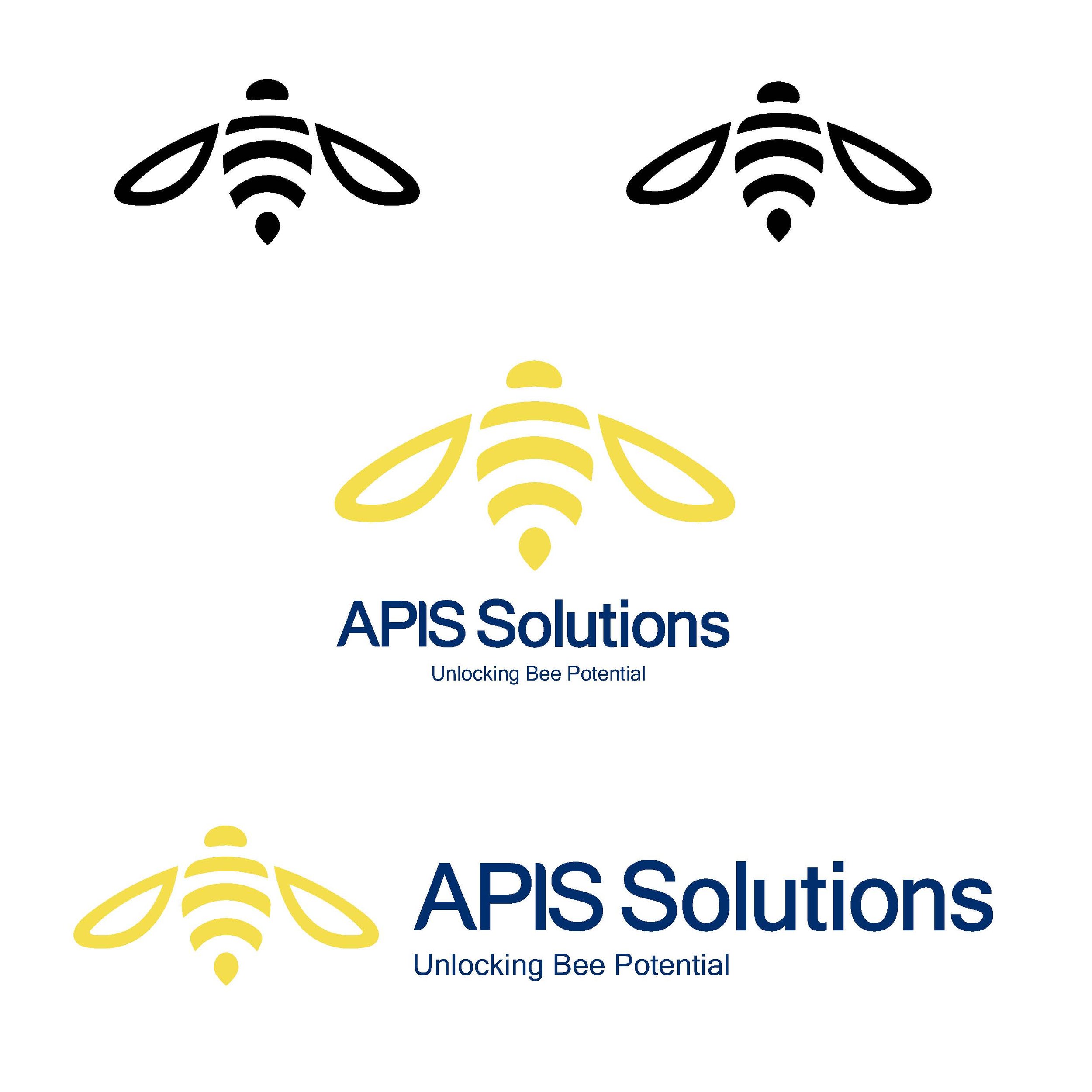 Iapis logo development_options_Page_3.jpg
