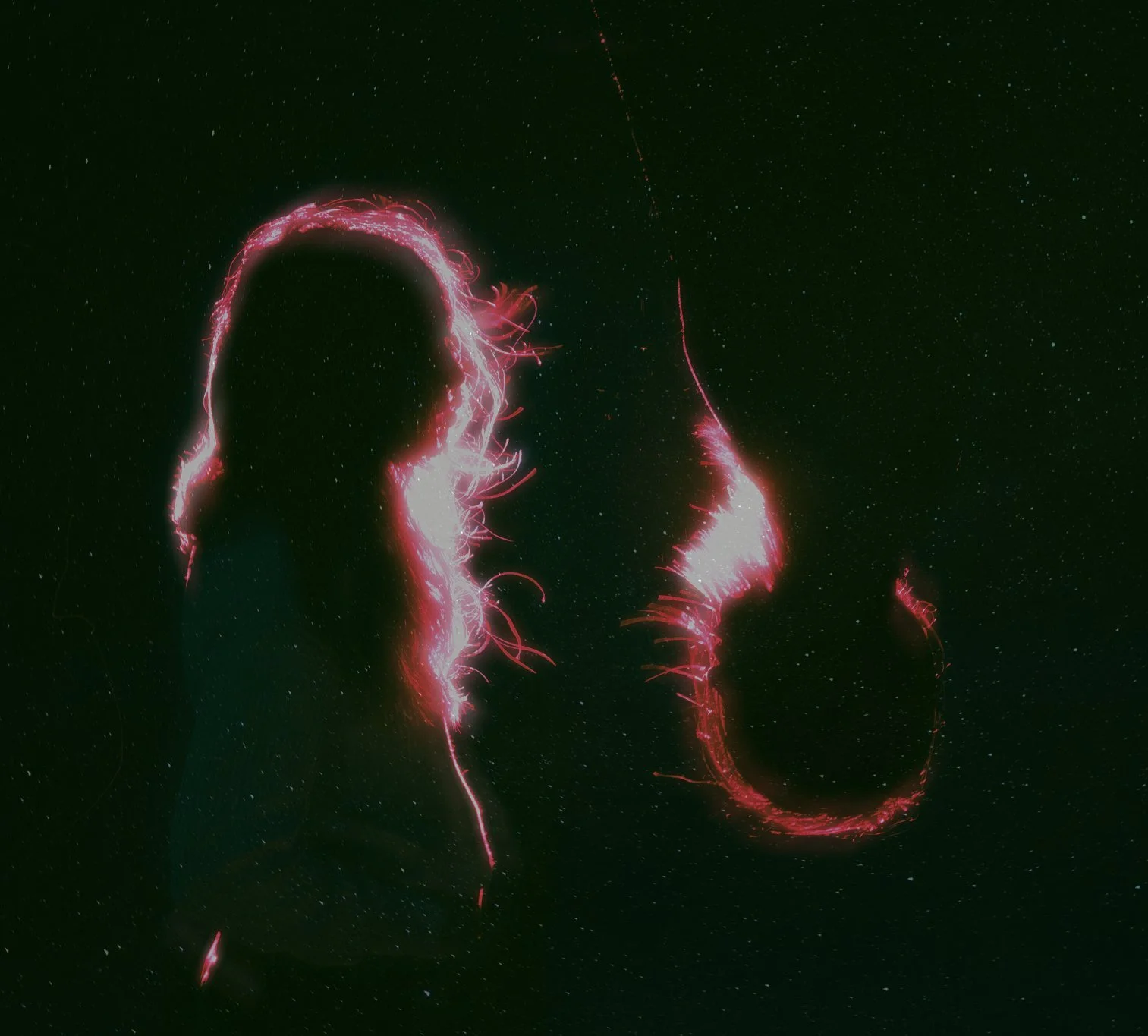 dec26_beach_janani-doublesilhouette_stars_2.jpg