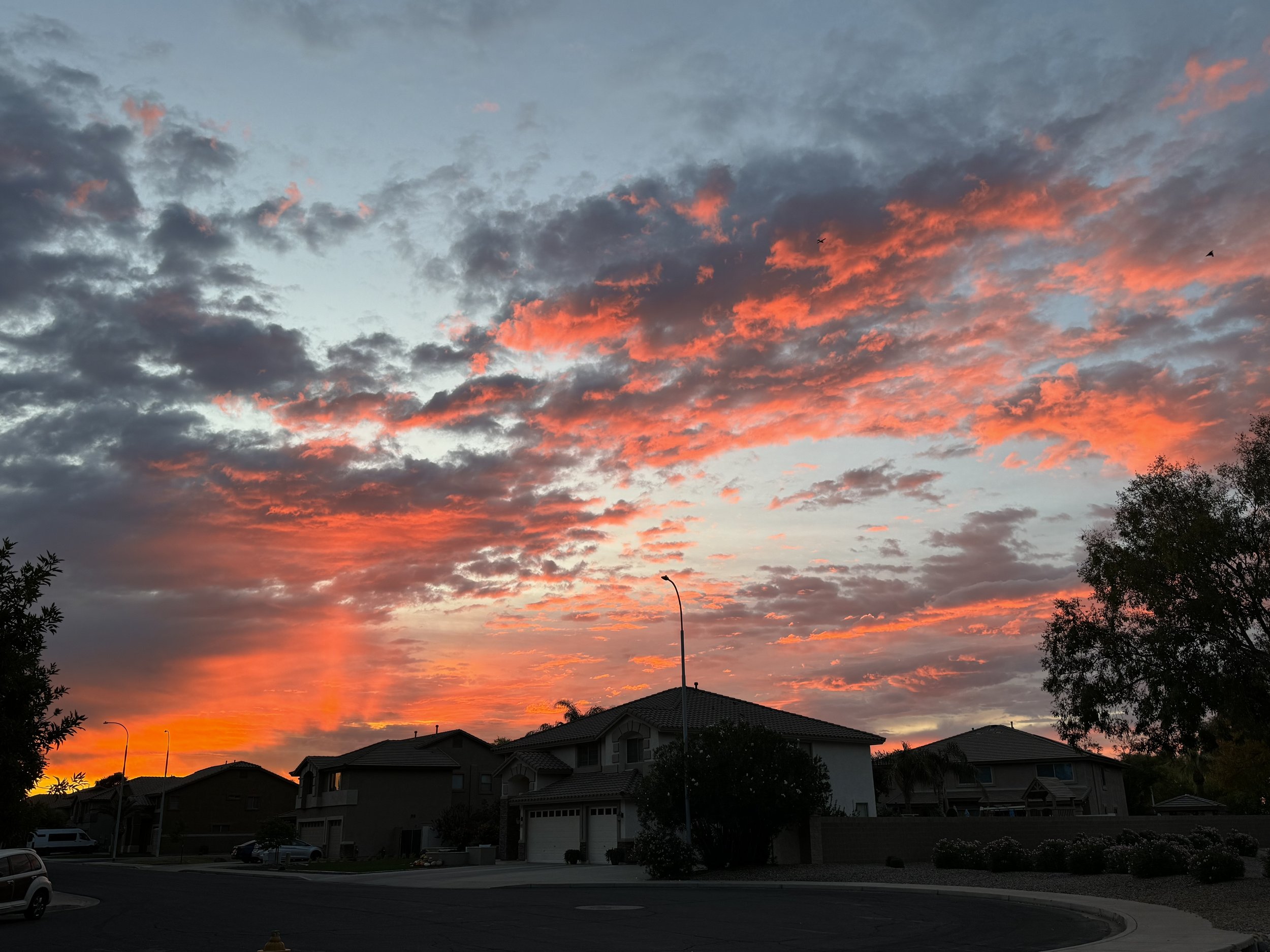 Embracing Gratitude