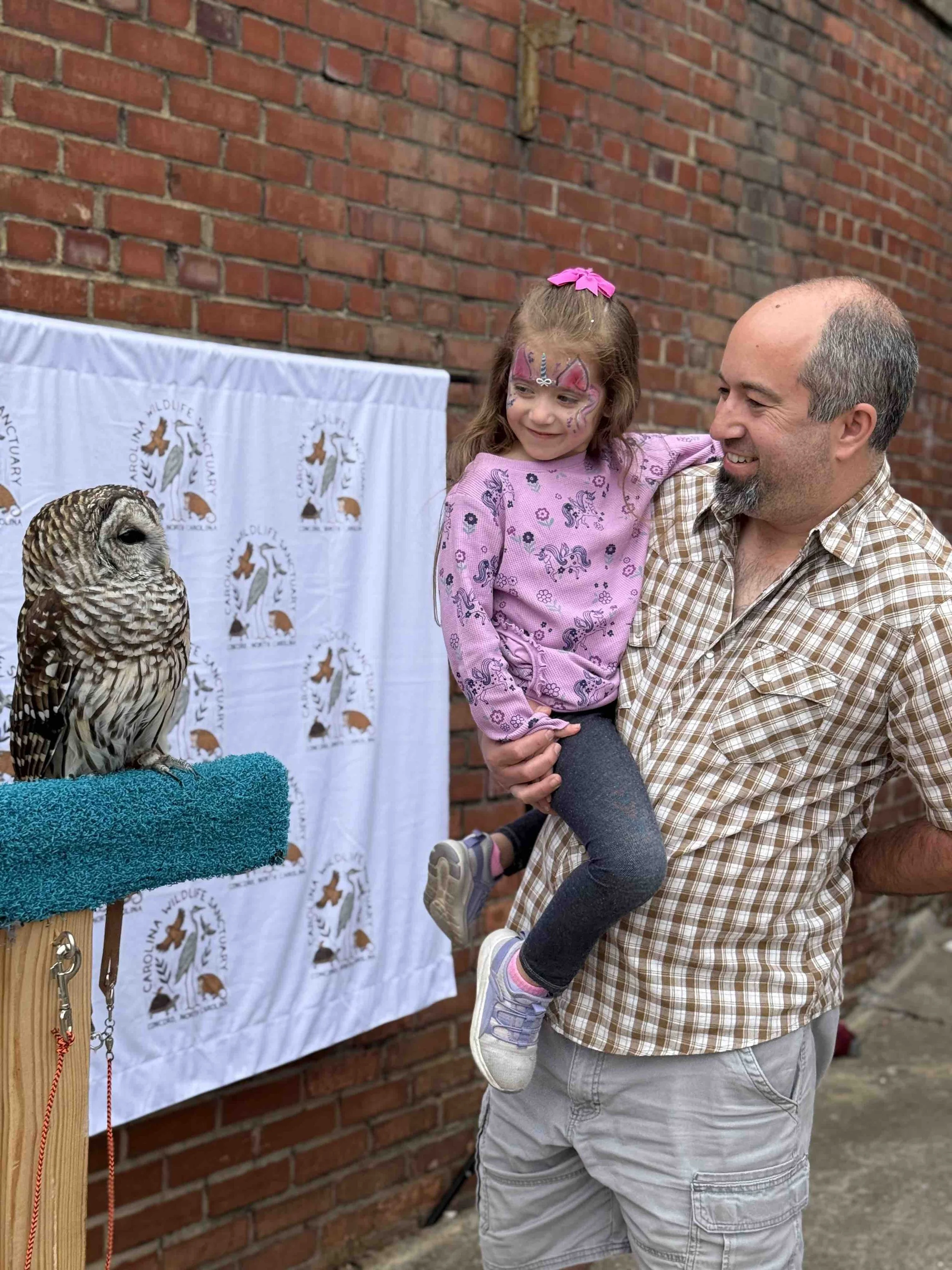 Gallery 2: Owl Portraits