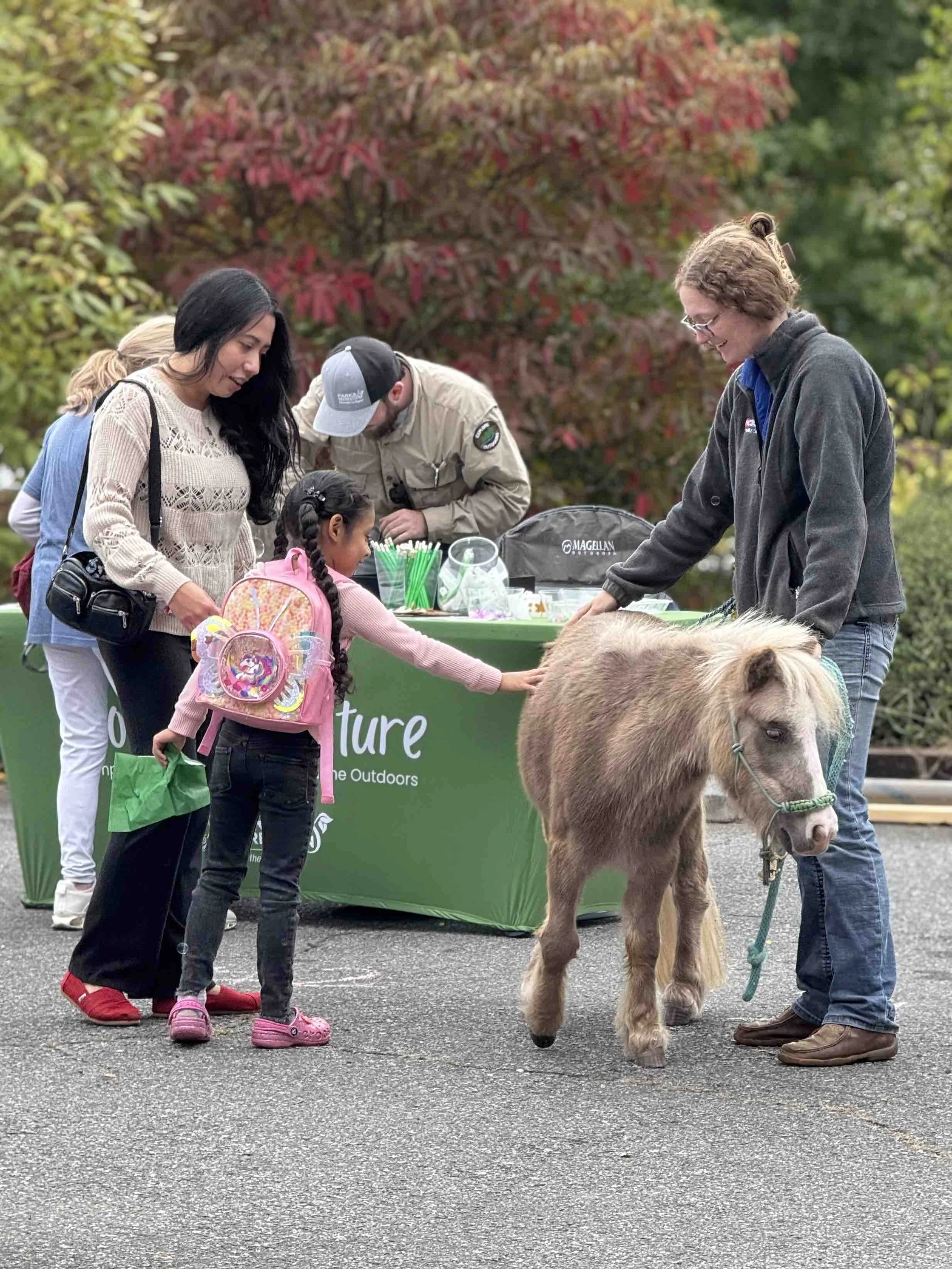 Gallery 1: Festival Photos