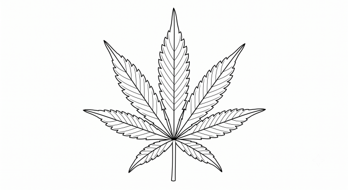 Minimalist line art of a marijuana leaf.