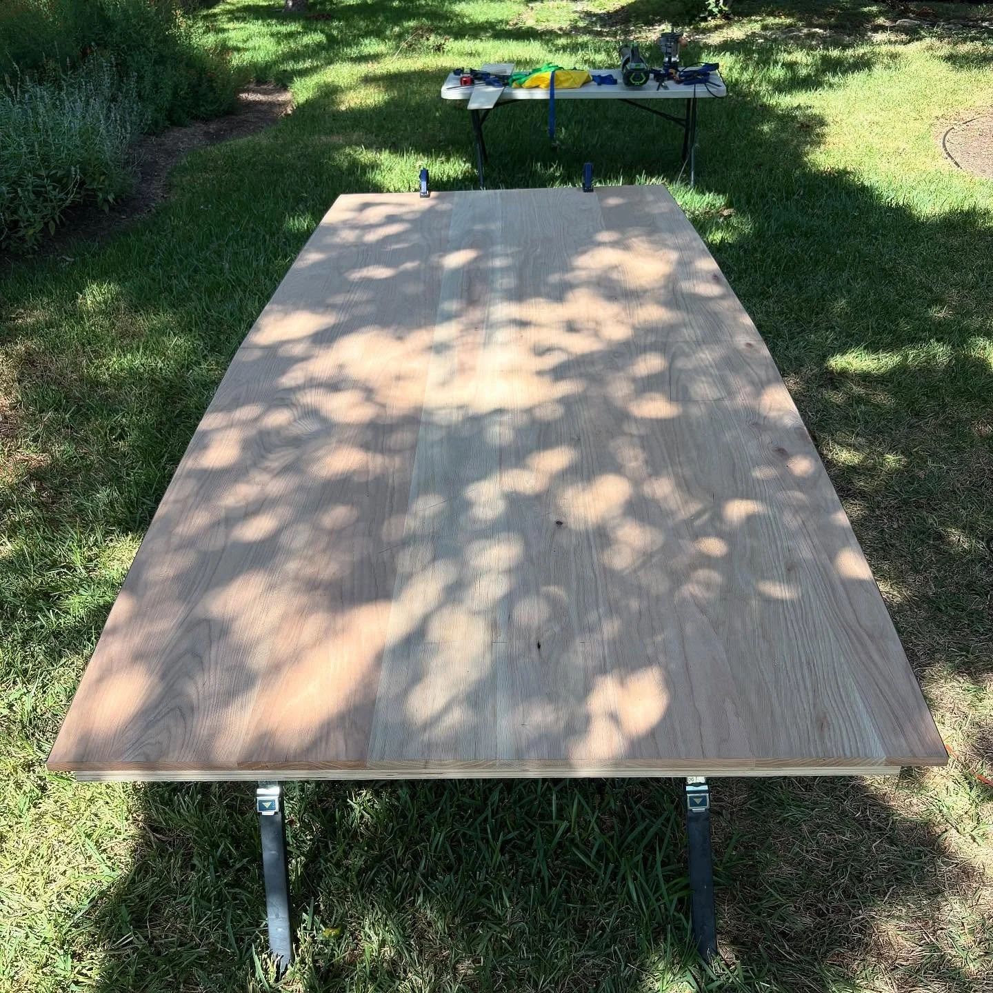 Sure, rectangular tables are great, but sometimes you need a truncated prolate ellipsoid. Supervision provided by Texas spiny lizard.