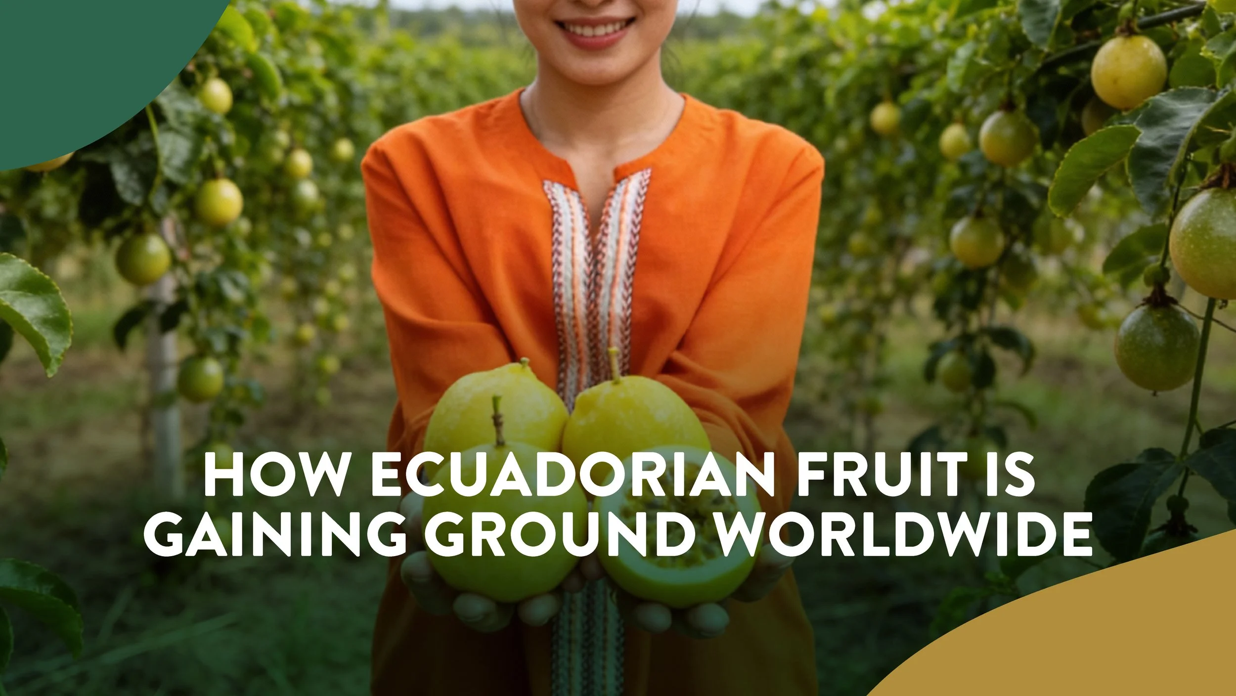 How Ecuadorian Fruit Is Gaining Ground Worldwide
