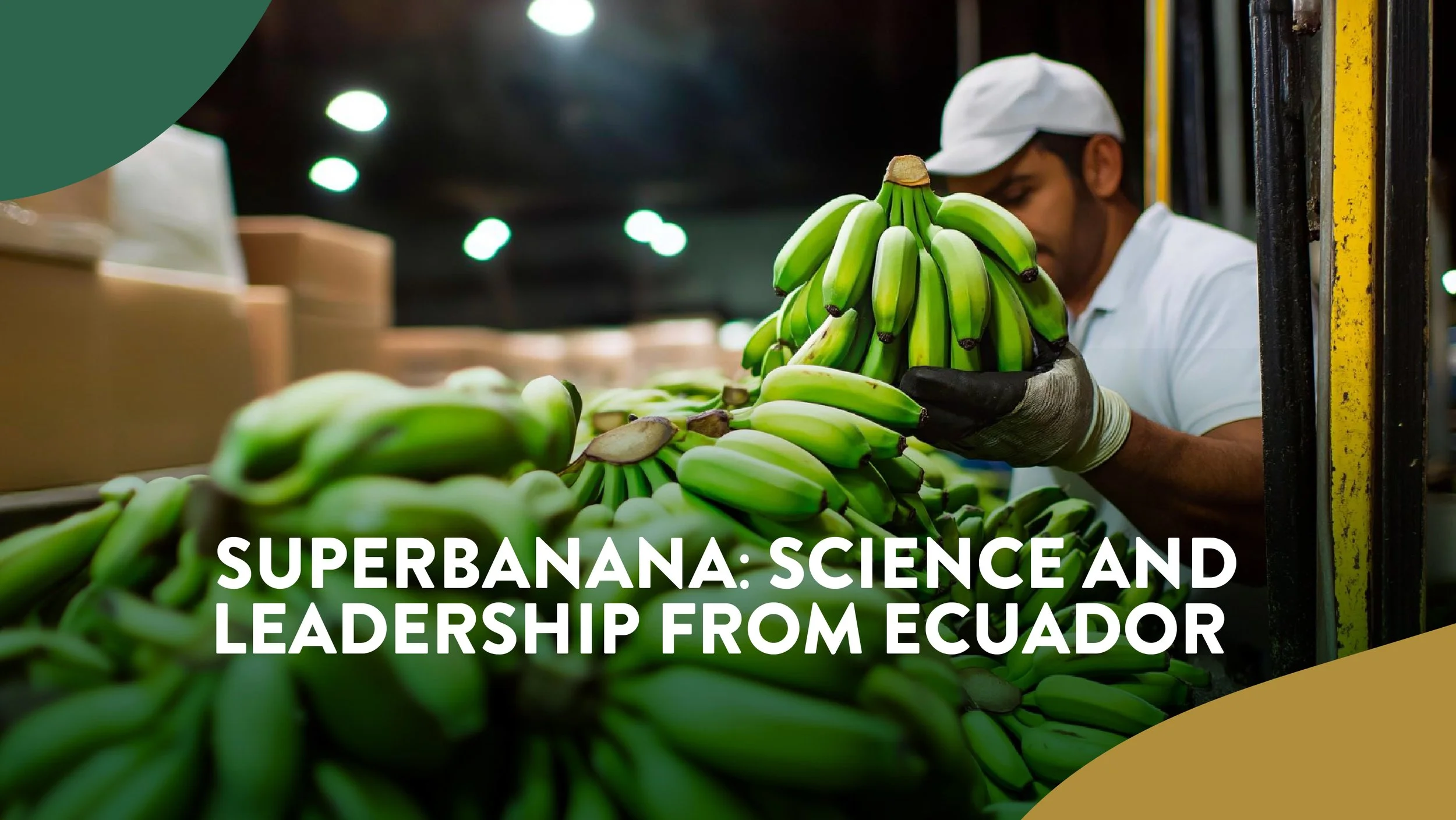 Superbanana: Science and Leadership from Ecuador