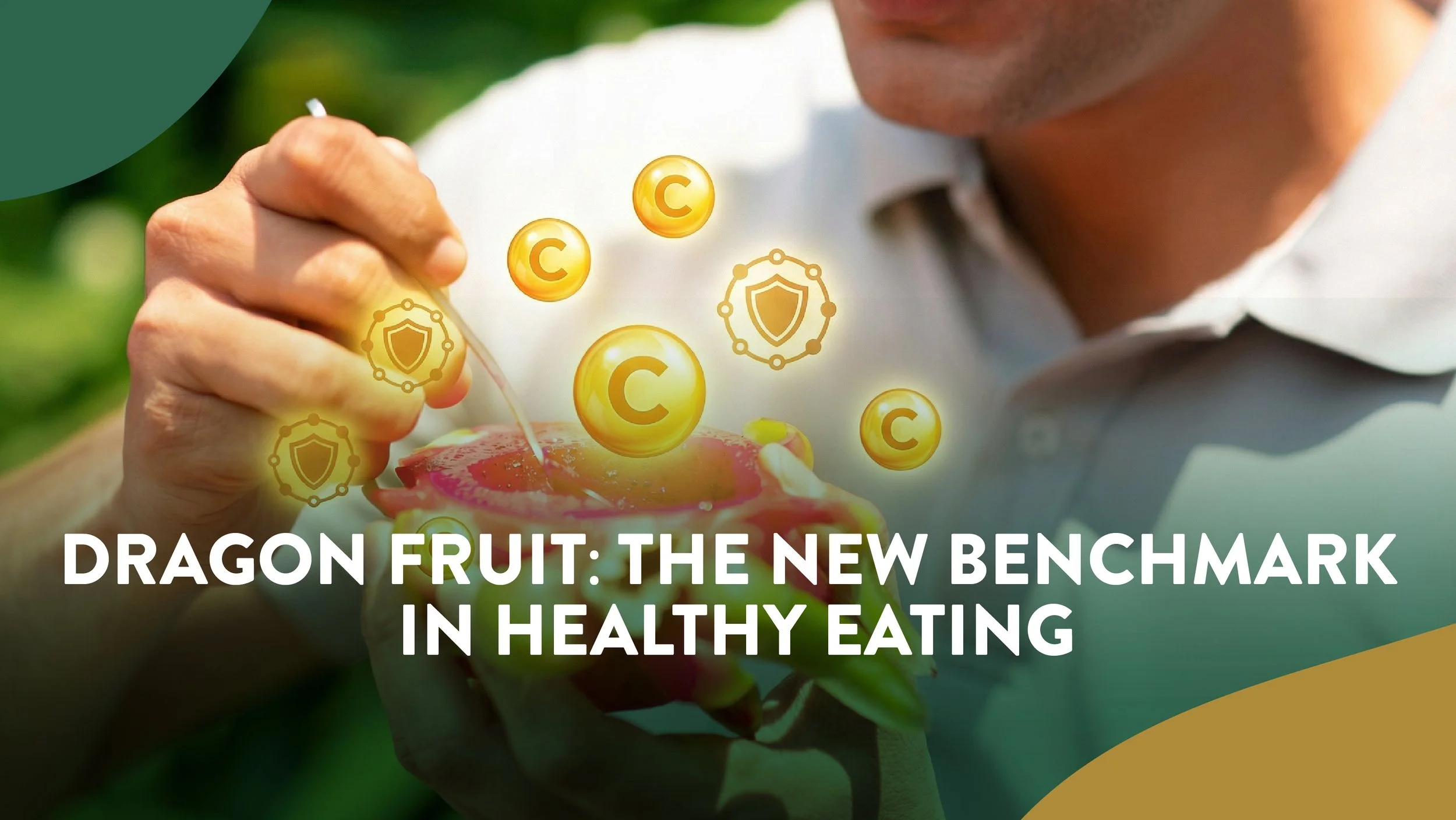 Dragon Fruit: The New Benchmark in Healthy Eating