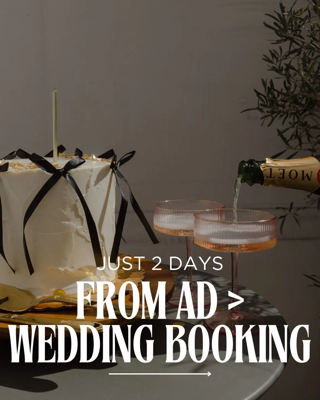 She joined my ads program on a Wednesday.

Launched her ads the following Monday.

Got her first inquiry Tuesday.

Booked that client Wednesday. (Yep, the NEXT day)

ONE WEEK. One campaign. One wedding photographer&rsquo;s business forever changed. ?