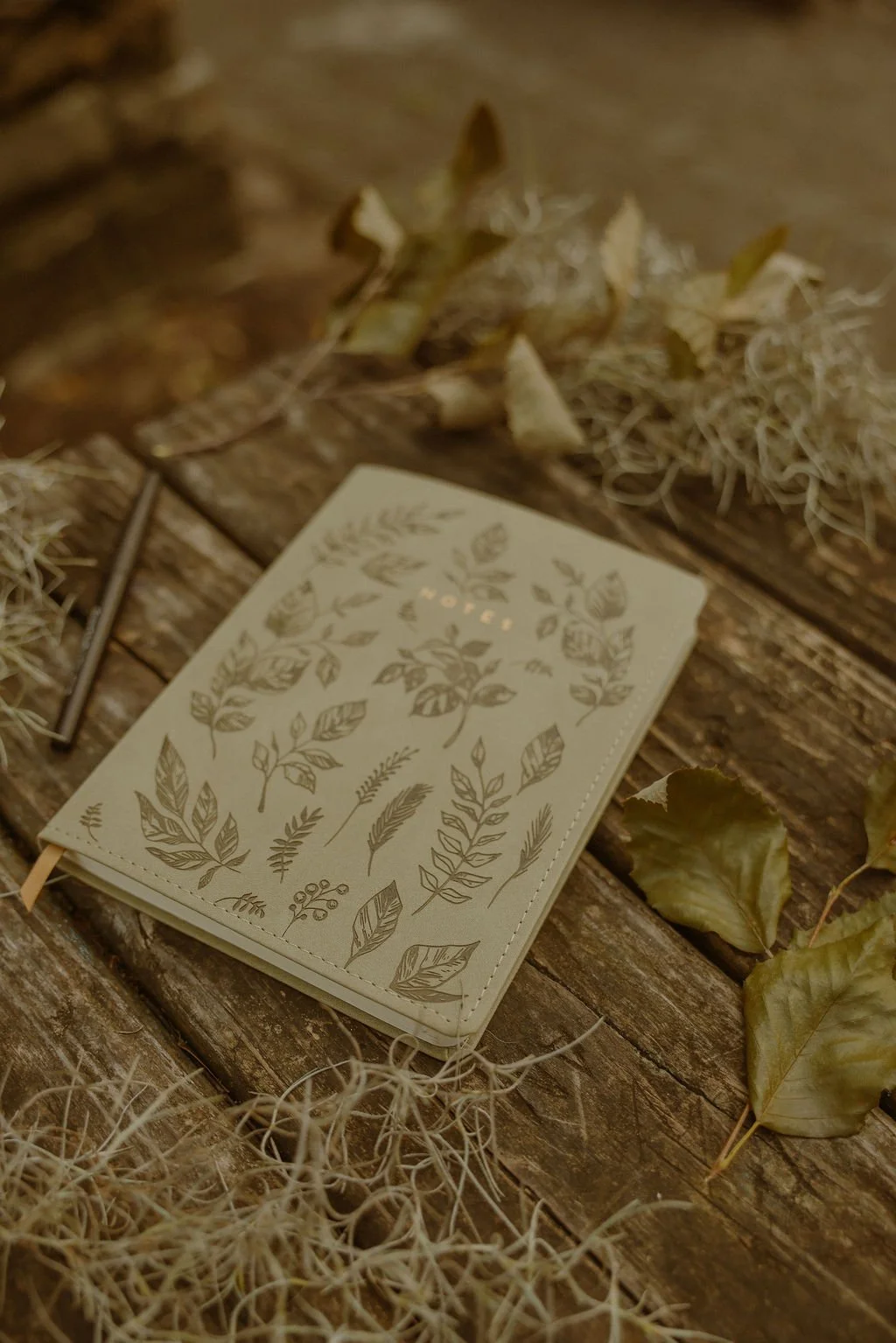 Licensed & Liberated workbook for therapists seeking multi-state licensing and practice expansion in mental health