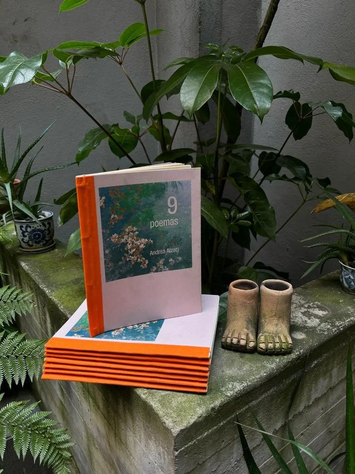9 Poemas - Andrea Alzati