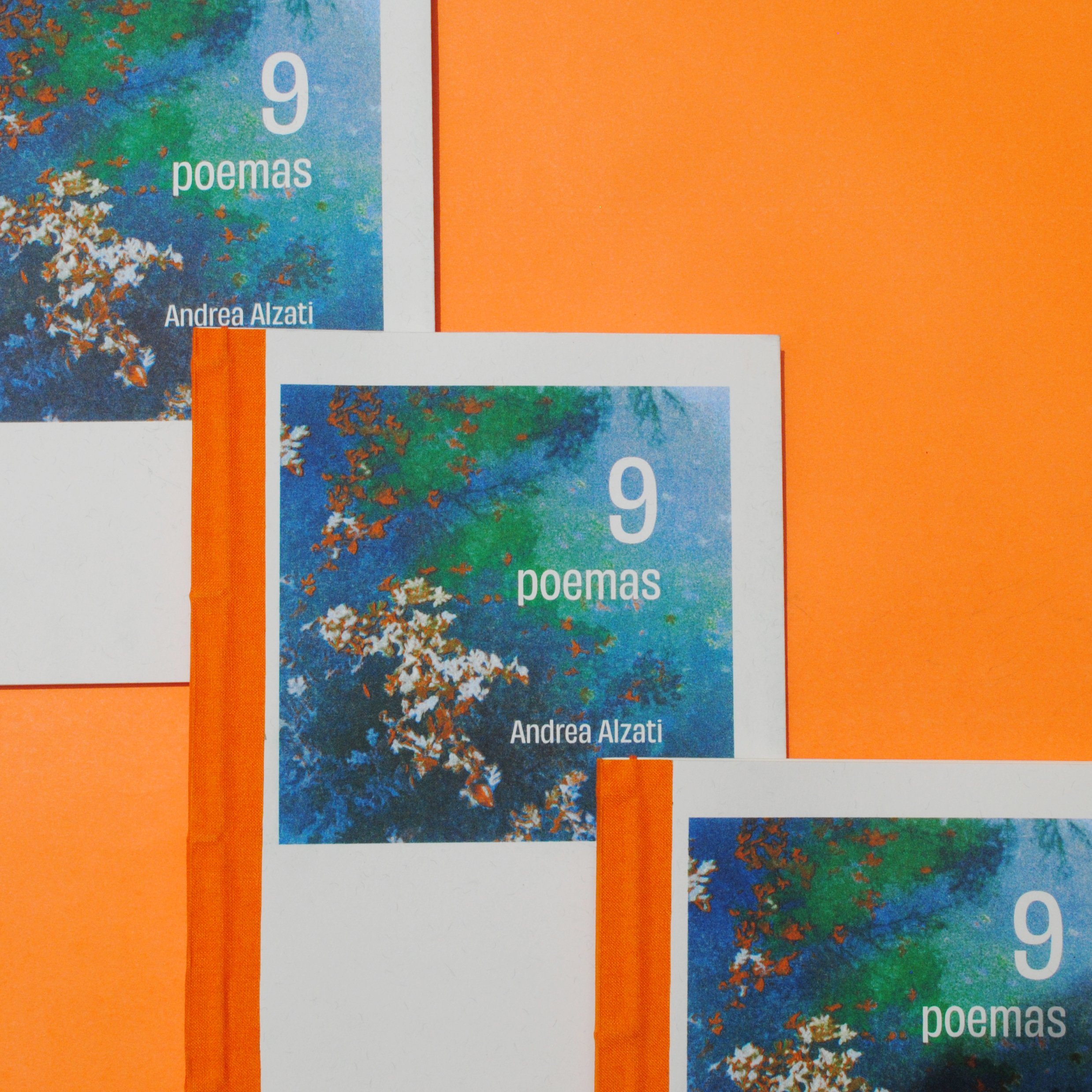 9 Poemas - Andrea Alzati