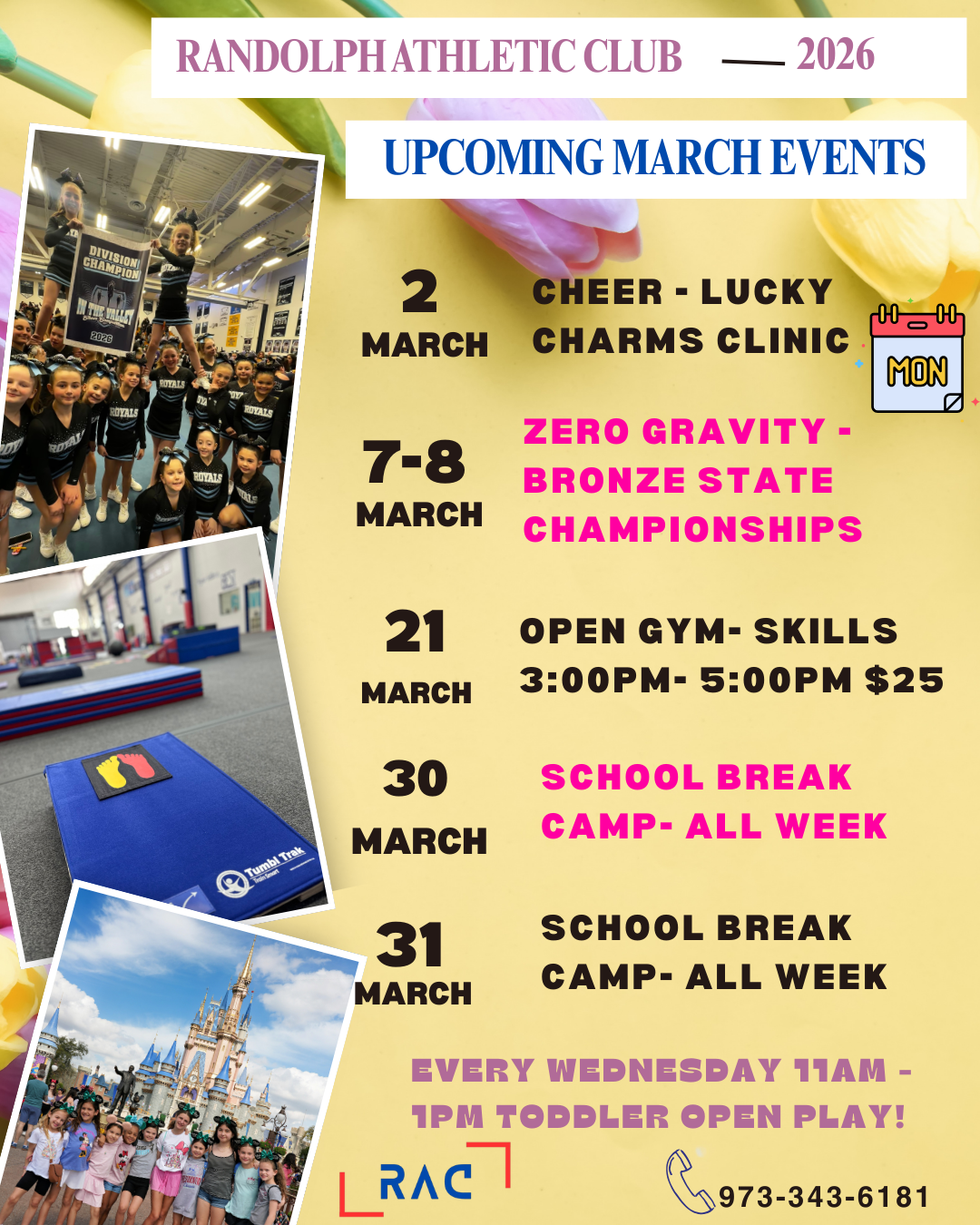 Gymnastics, Cheerleading and Parkour