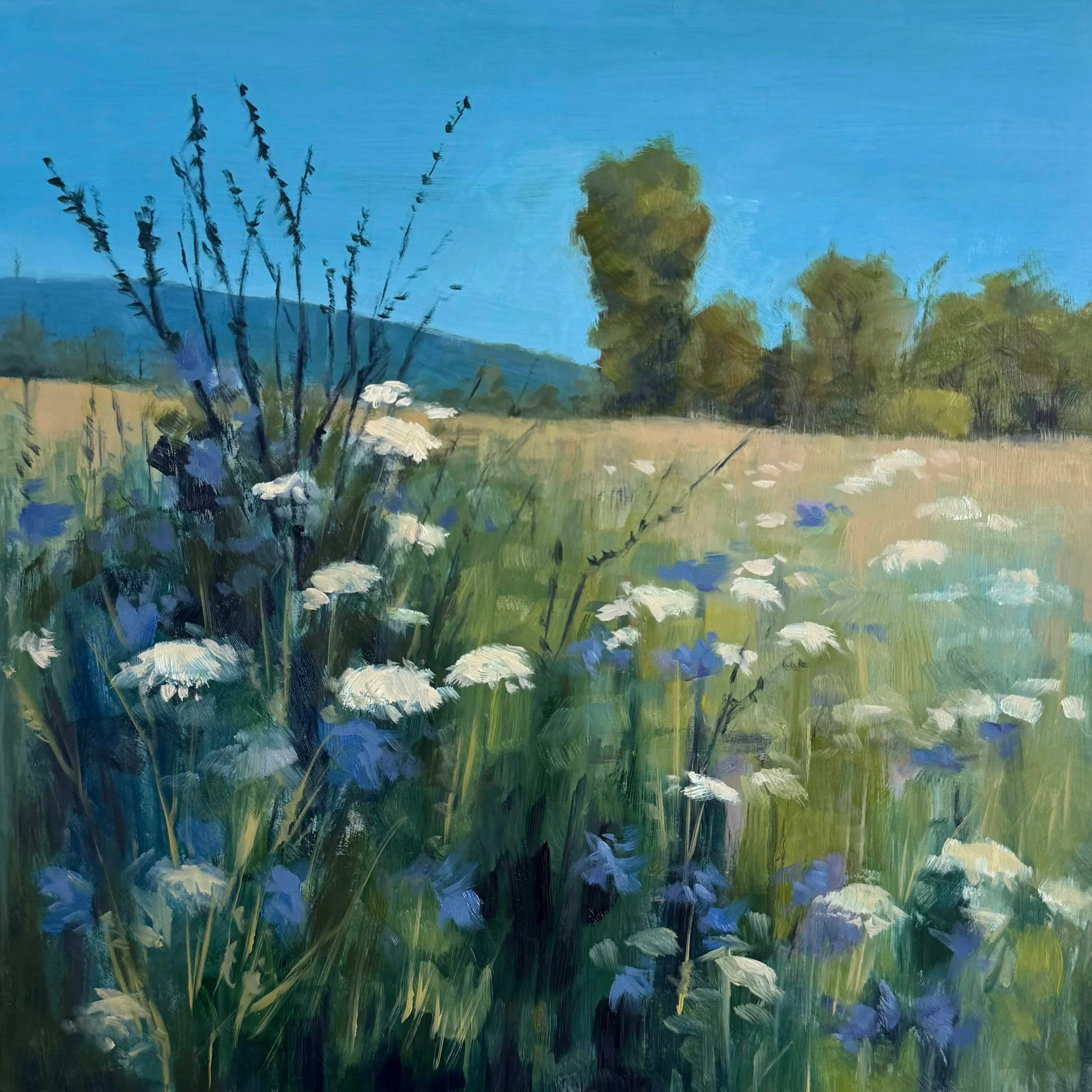 meadow-blooms-image.png.jpg