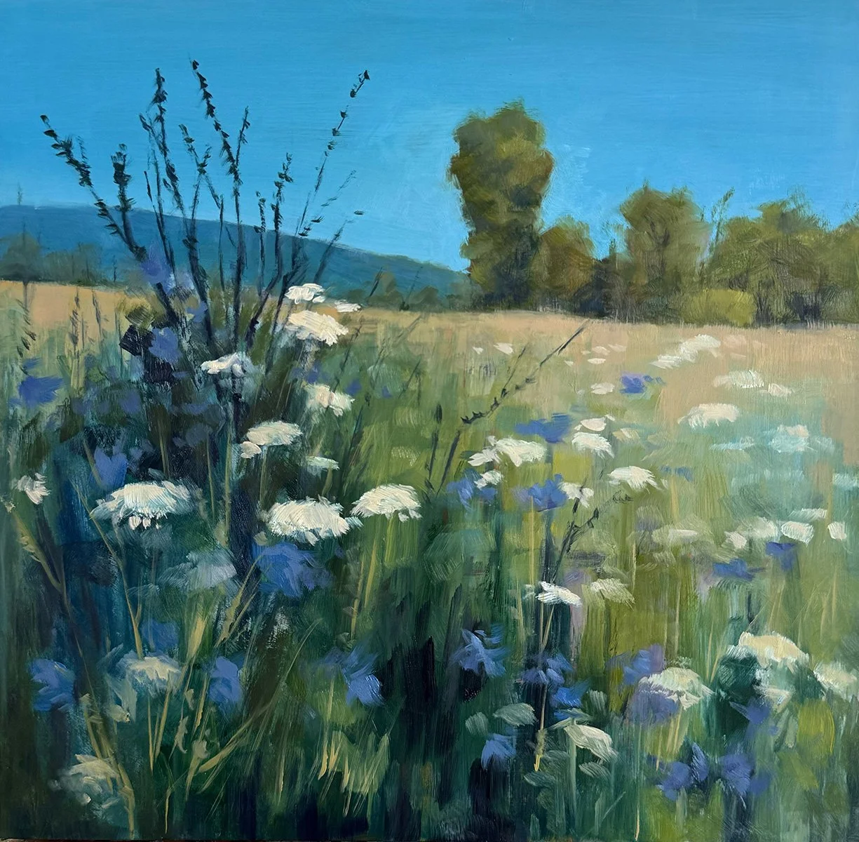 meadow-blooms-sm-CANVAS_PRINT.jpg