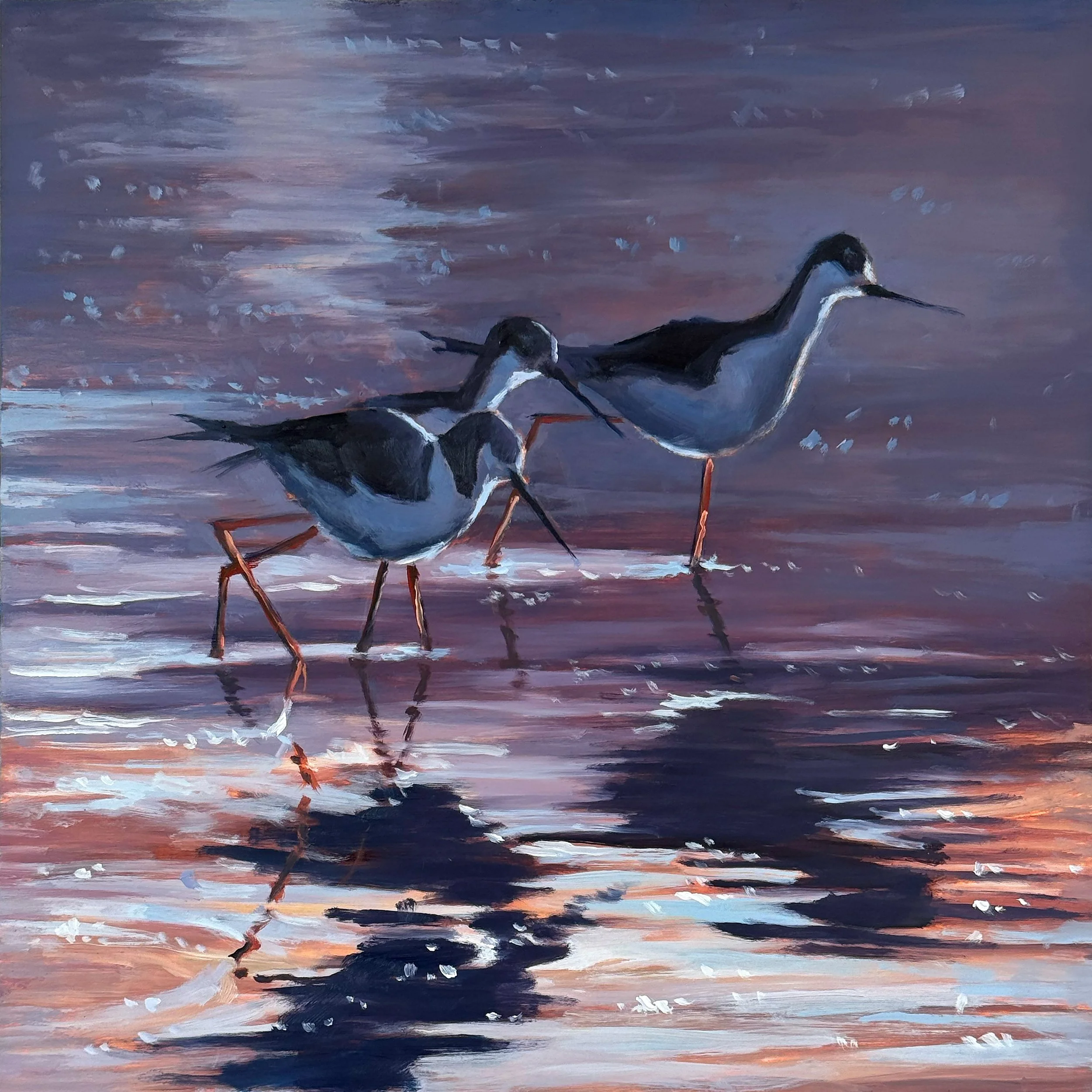 Sunset-Stroll-12x12.jpg