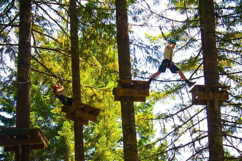 Tree-to-Tree for T1D Teens &amp; Friends (13+)