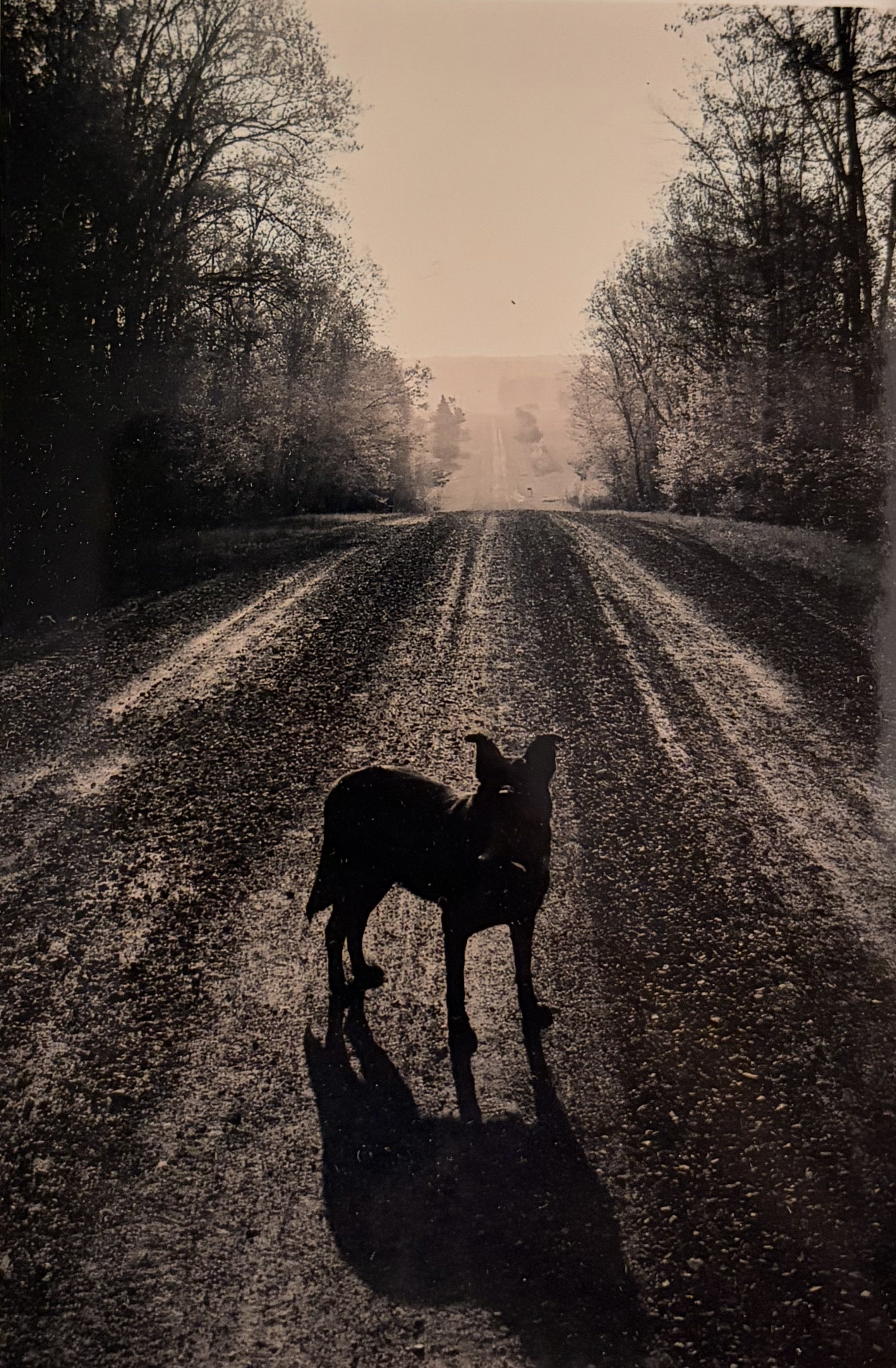 The Road. Taken by Leon Hushcha, 1986