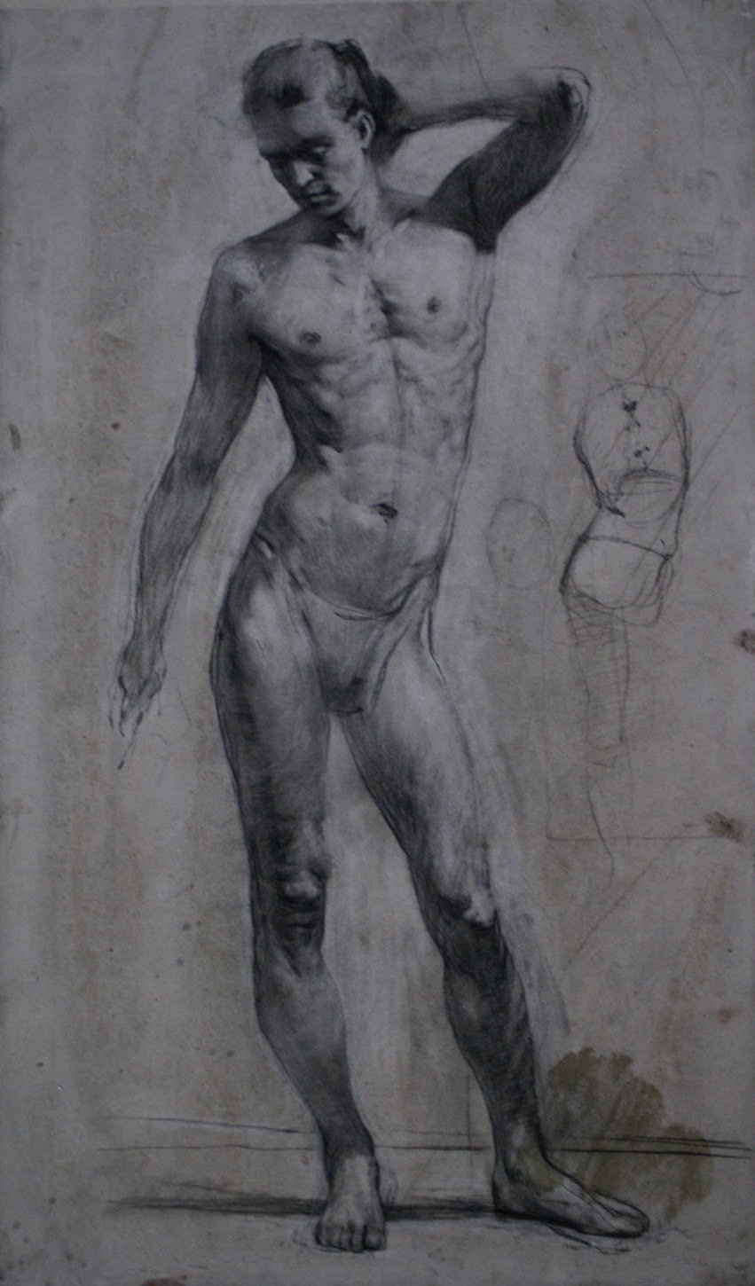 anatomy4.jpeg