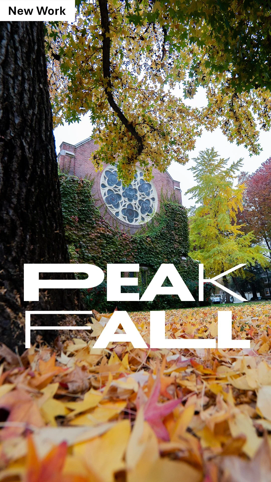 UOP-Work-Thumb-Peak-Fall-B-1080x1920.jpg