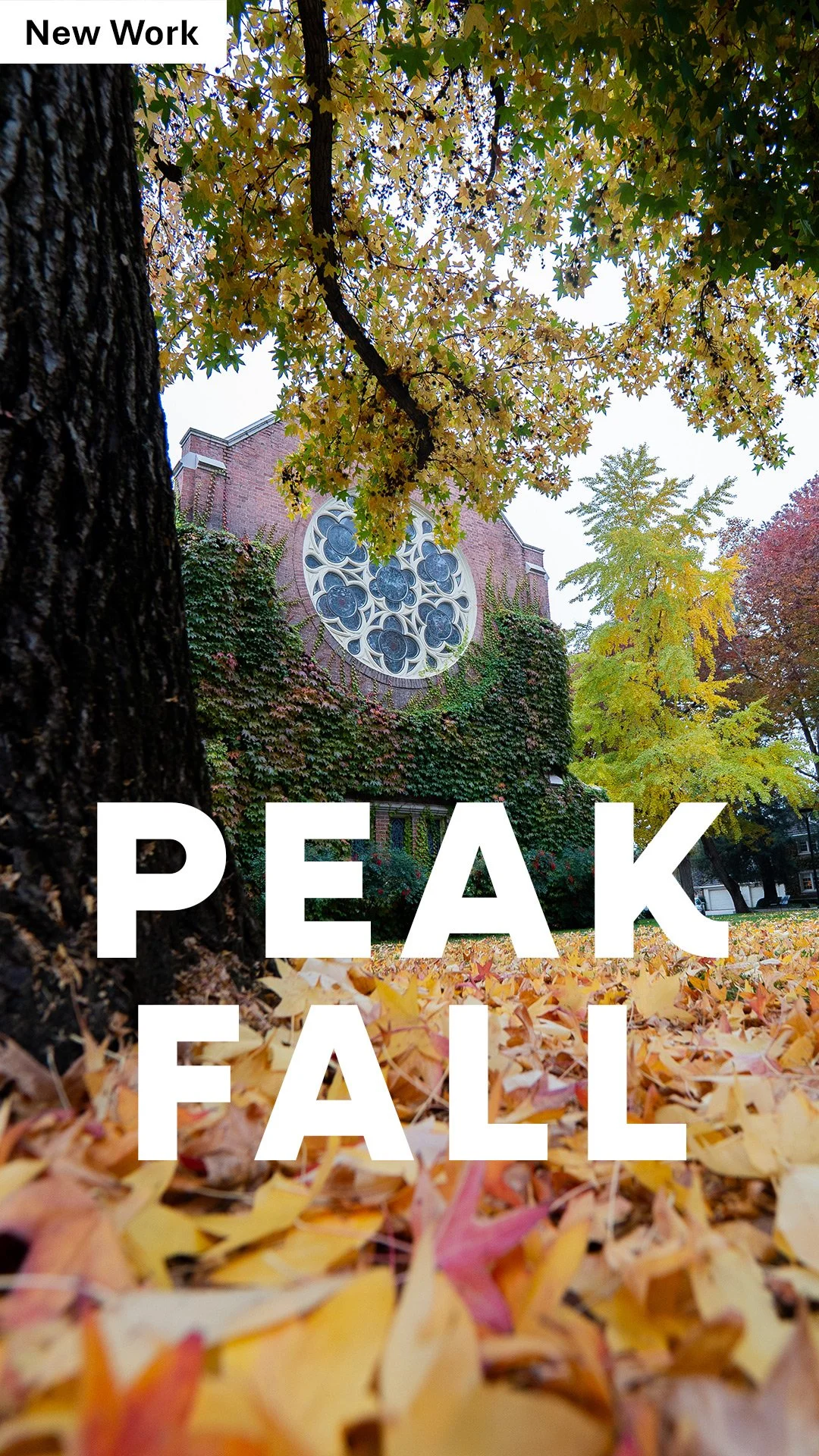 UOP-Work-Thumb-Peak-Fall-1080x1920.jpg