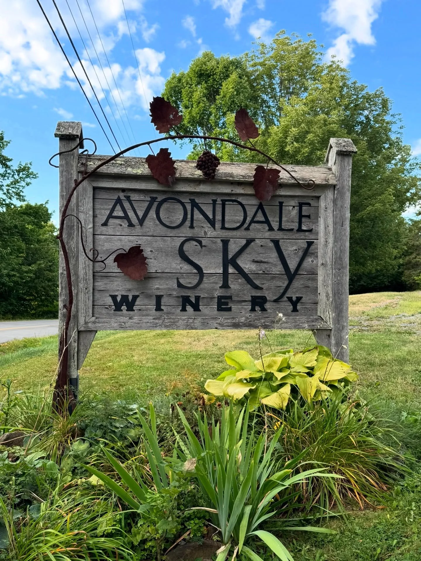 🍷 We had the pleasure of being part of an unforgettable bachelorette celebration Vino Before Vows at the beautiful Avondale Sky Winery.  The bride tribe indulged in a custom Italian feast that everyone enjoyed. Holy cannoli, what a night to remember