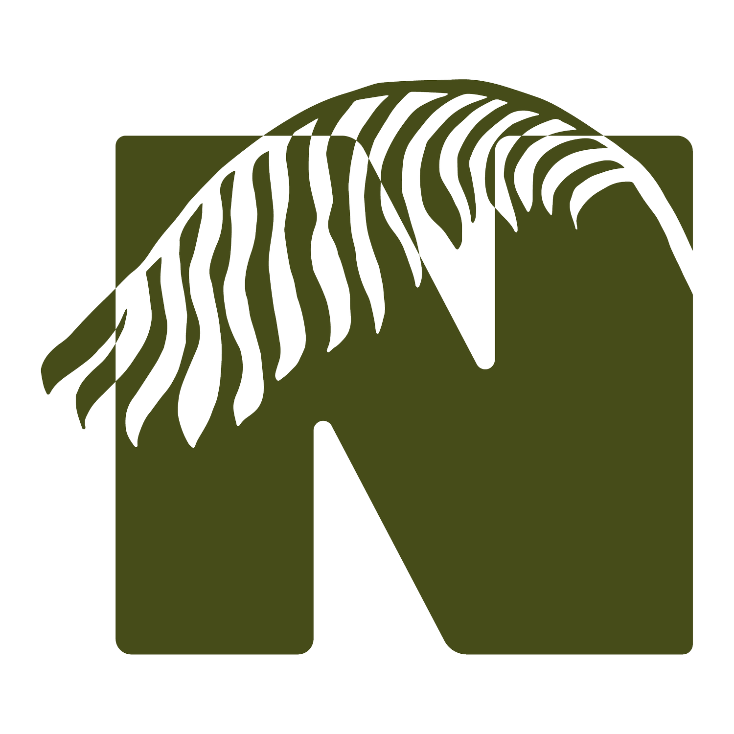 Native Palms Nutrition