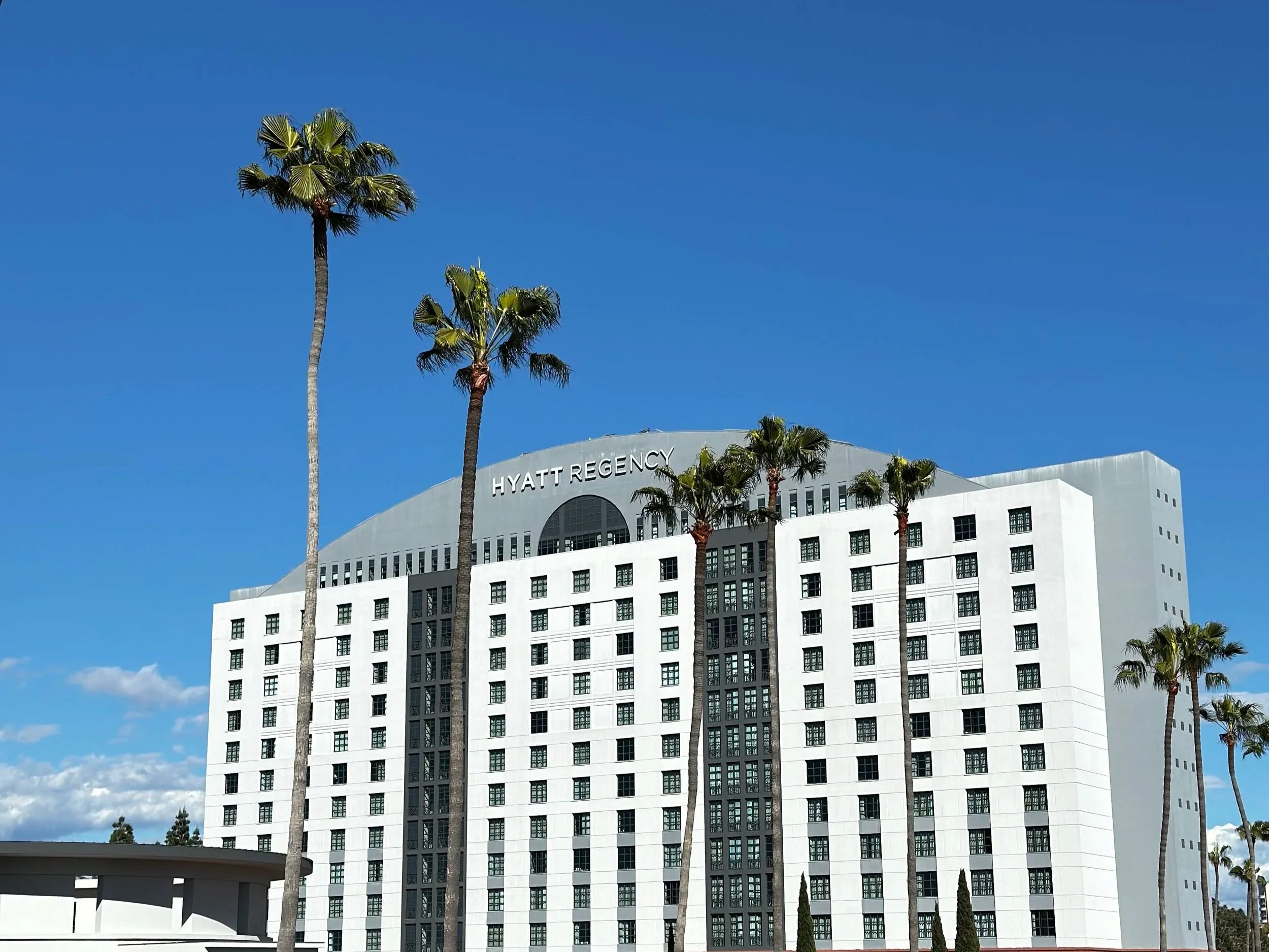 White building with the words 'HYATT REGENCY' at the top, tall palm trees in front, and a blue sky with some clouds.