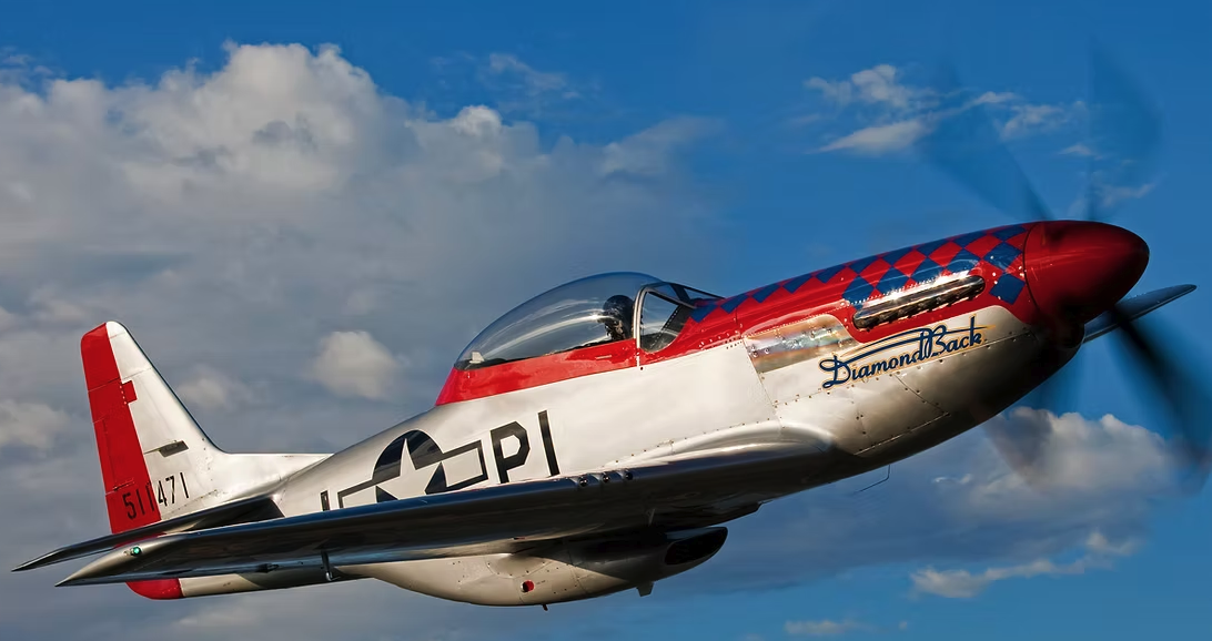 P-51 WARBIRD IN FLIGHT