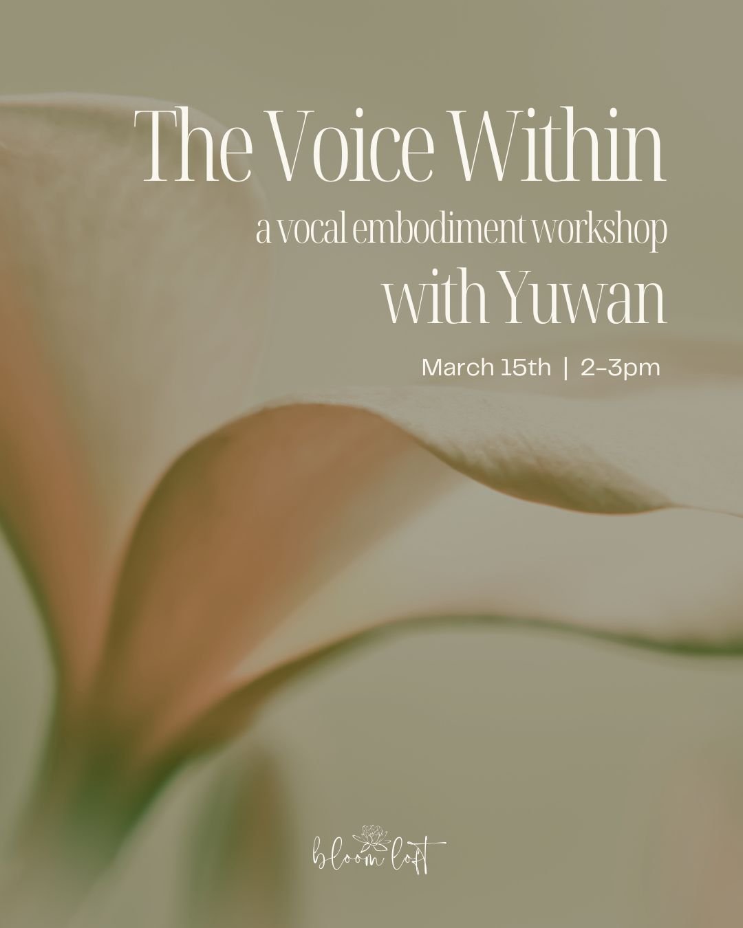 Education & Workshops 教育与工作坊