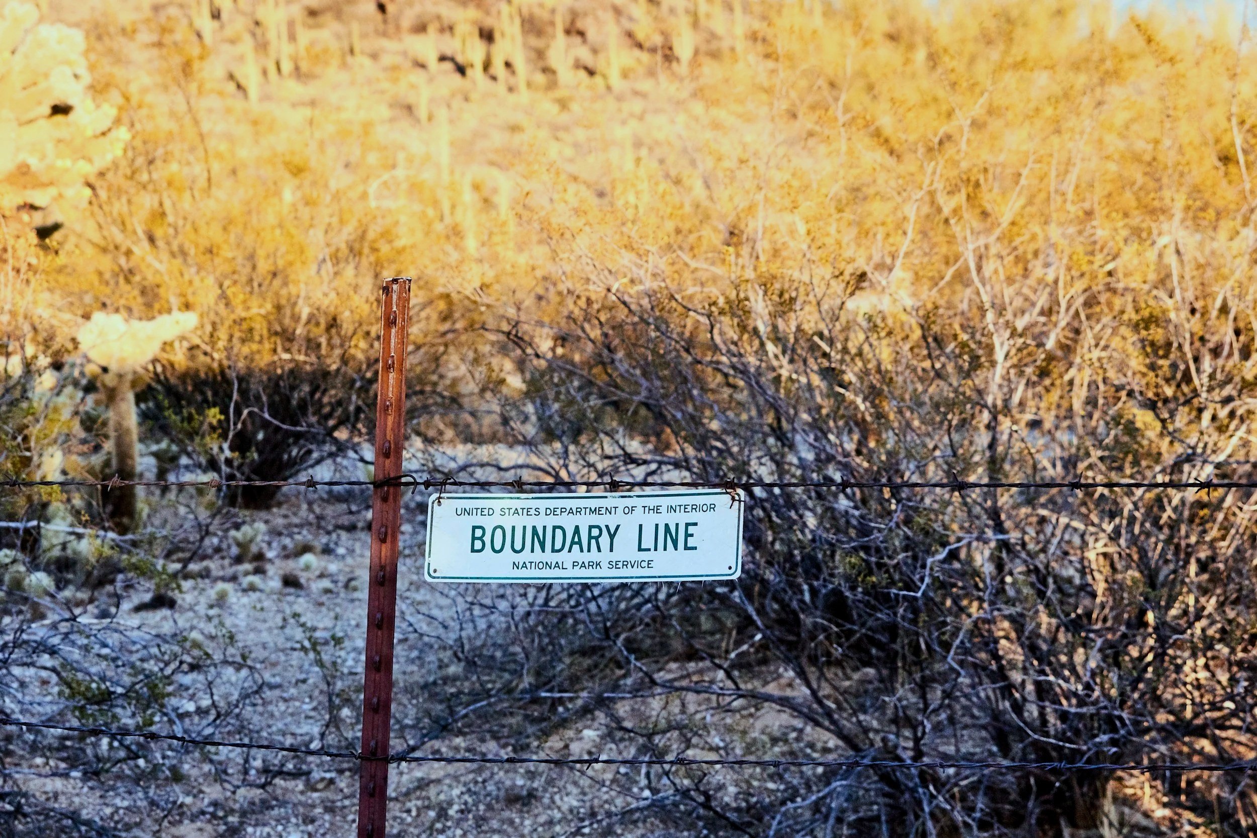 metal fence in front of some bushes, sign saying "boundary line"