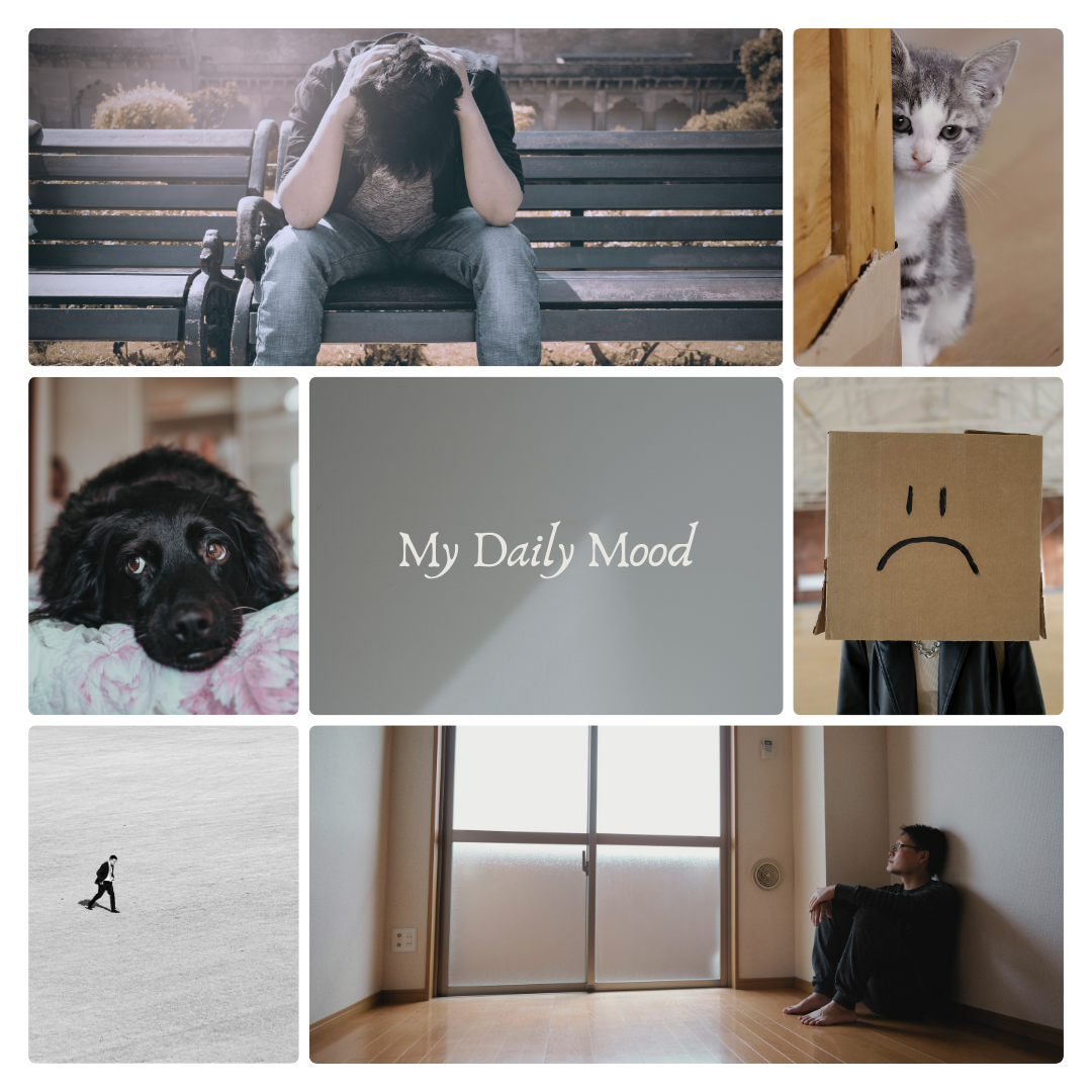 Collage of sad people and animals