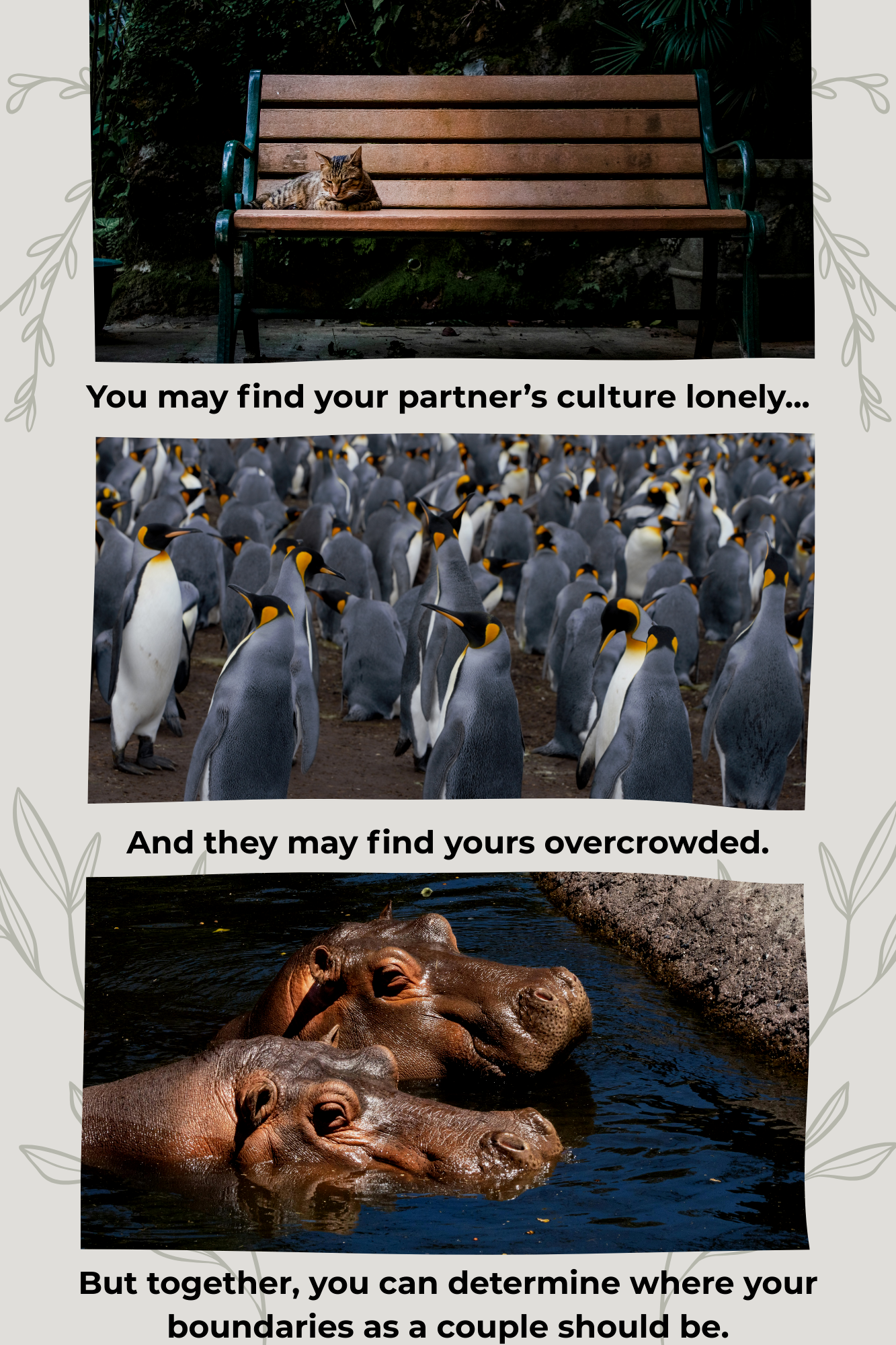 three animal pictures: a cat alone, a crowd of penguins, and two hippos, with the text "you may find your partner's culture lonely, and they may find yours overcrowded. But together, you can determine where your boundaries as a couple should be"