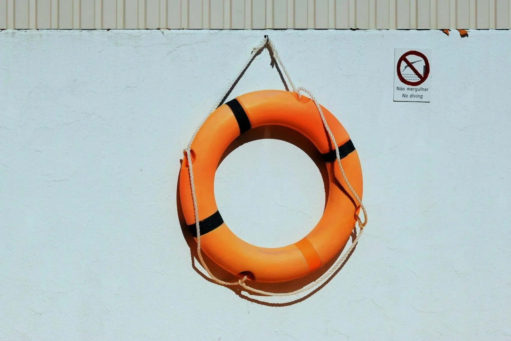 a life preserver hangs on a wall