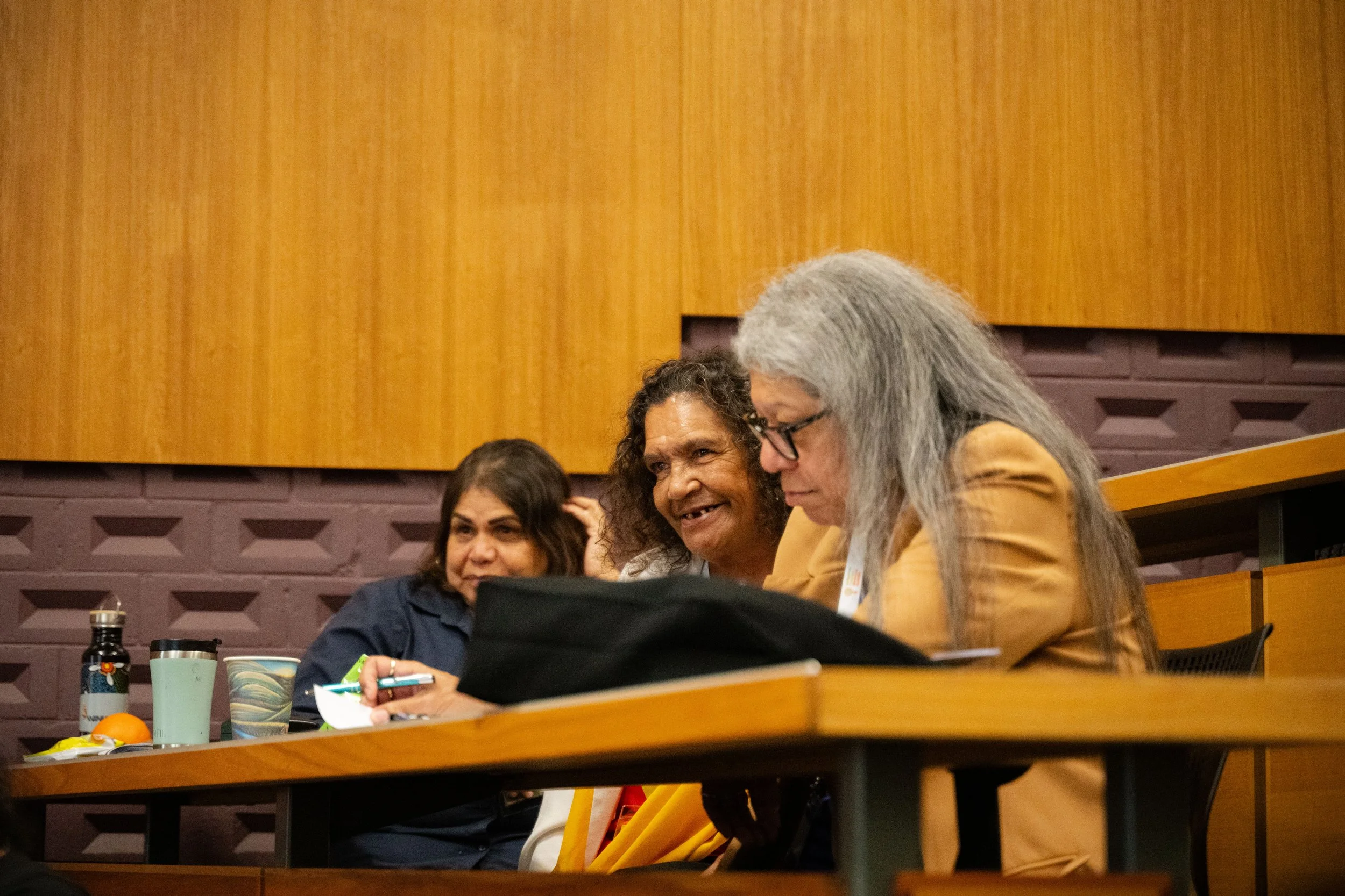 2024.09.02.SEP_Winyama Indigenous Mapping Workshop.hi-res-045.jpg