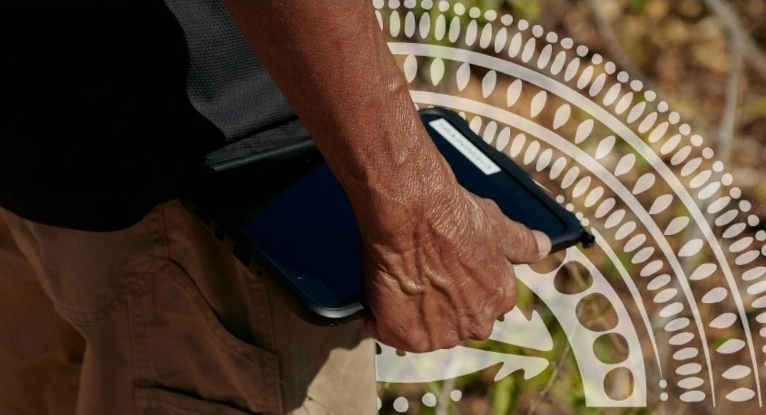 Connected Data Connects Us to Country