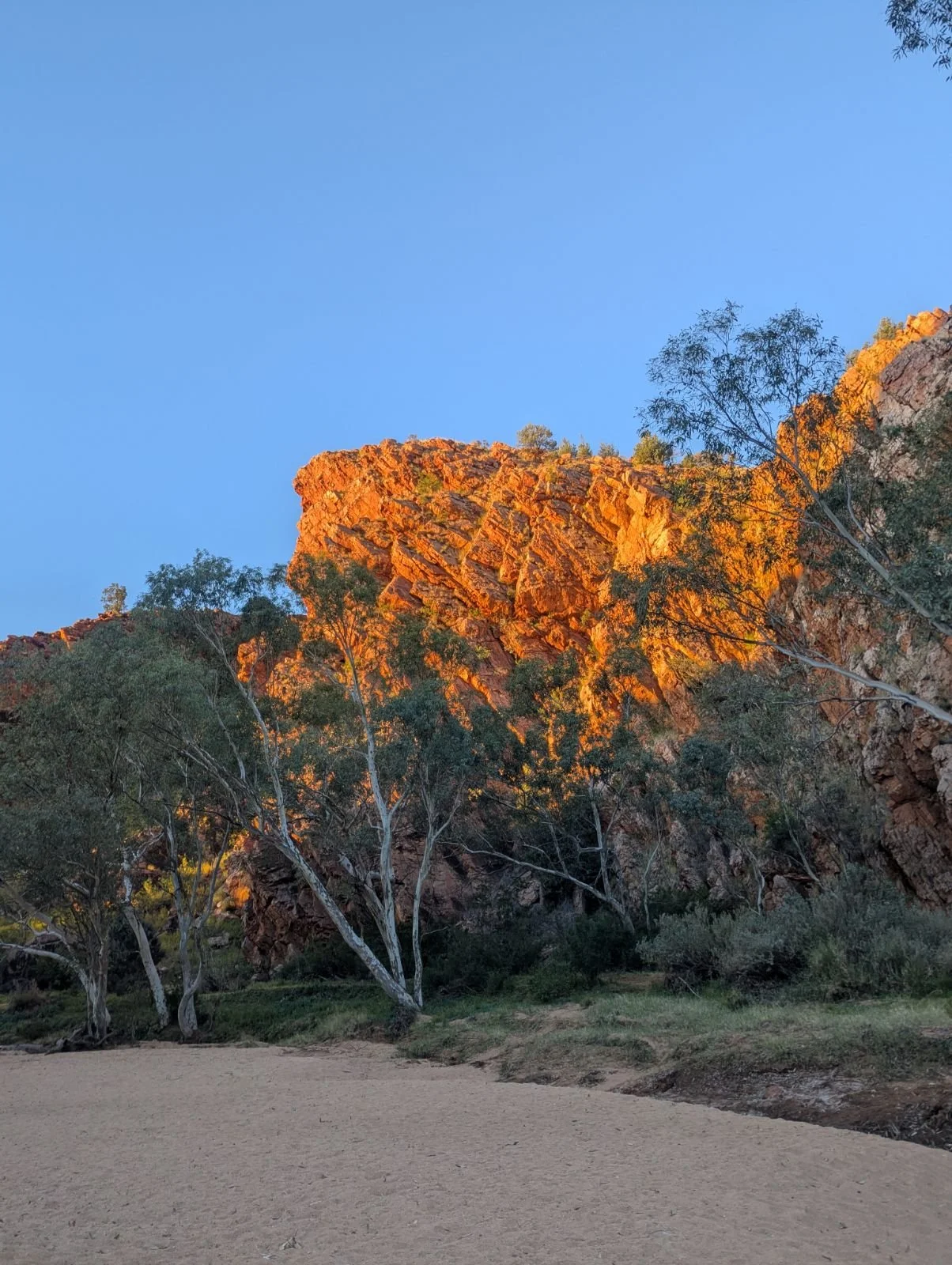 Navigating The Voice Referendum Australia: Your Guide to the October 14th Decision
