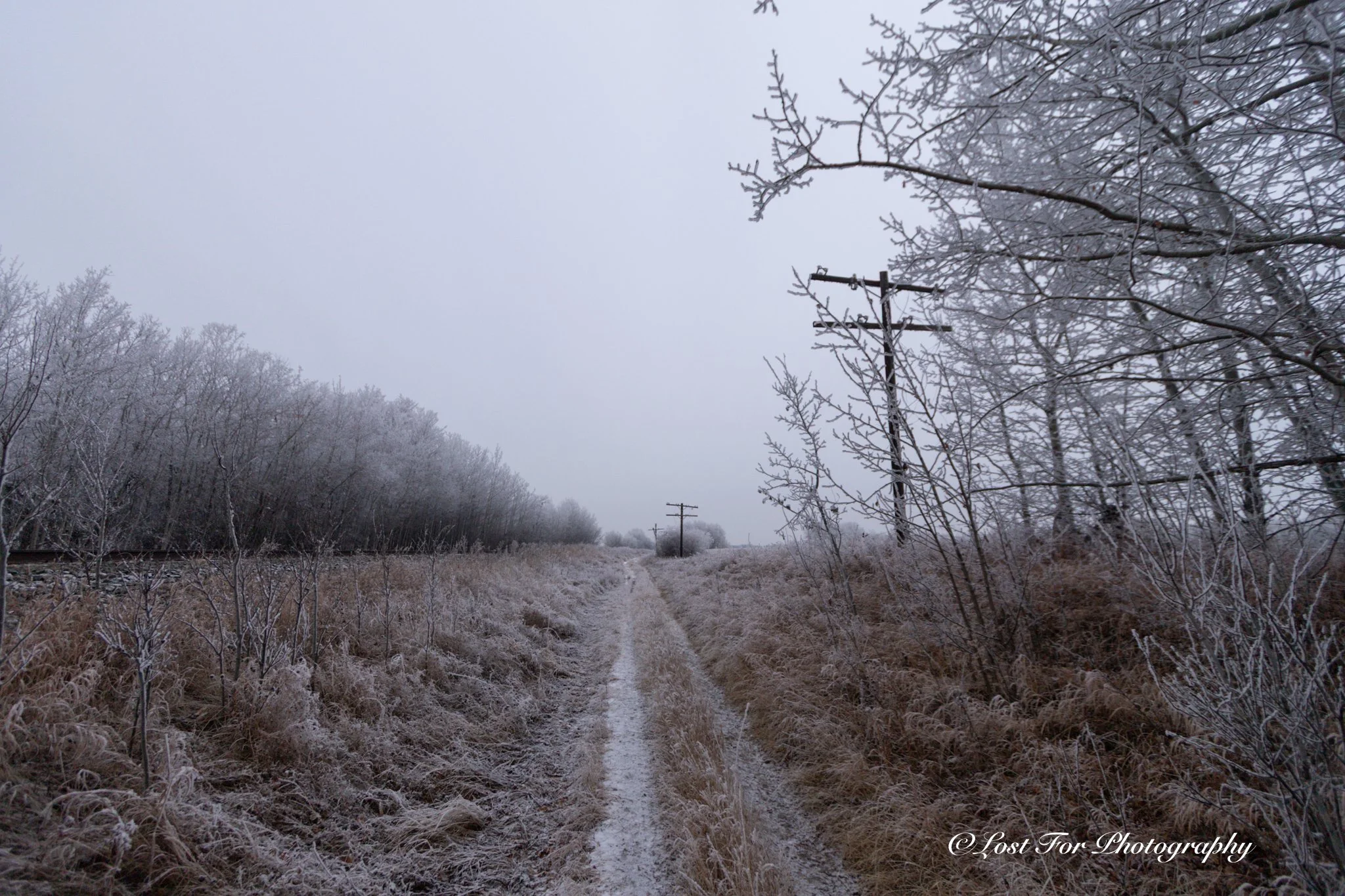 Walk Beside The Tracks