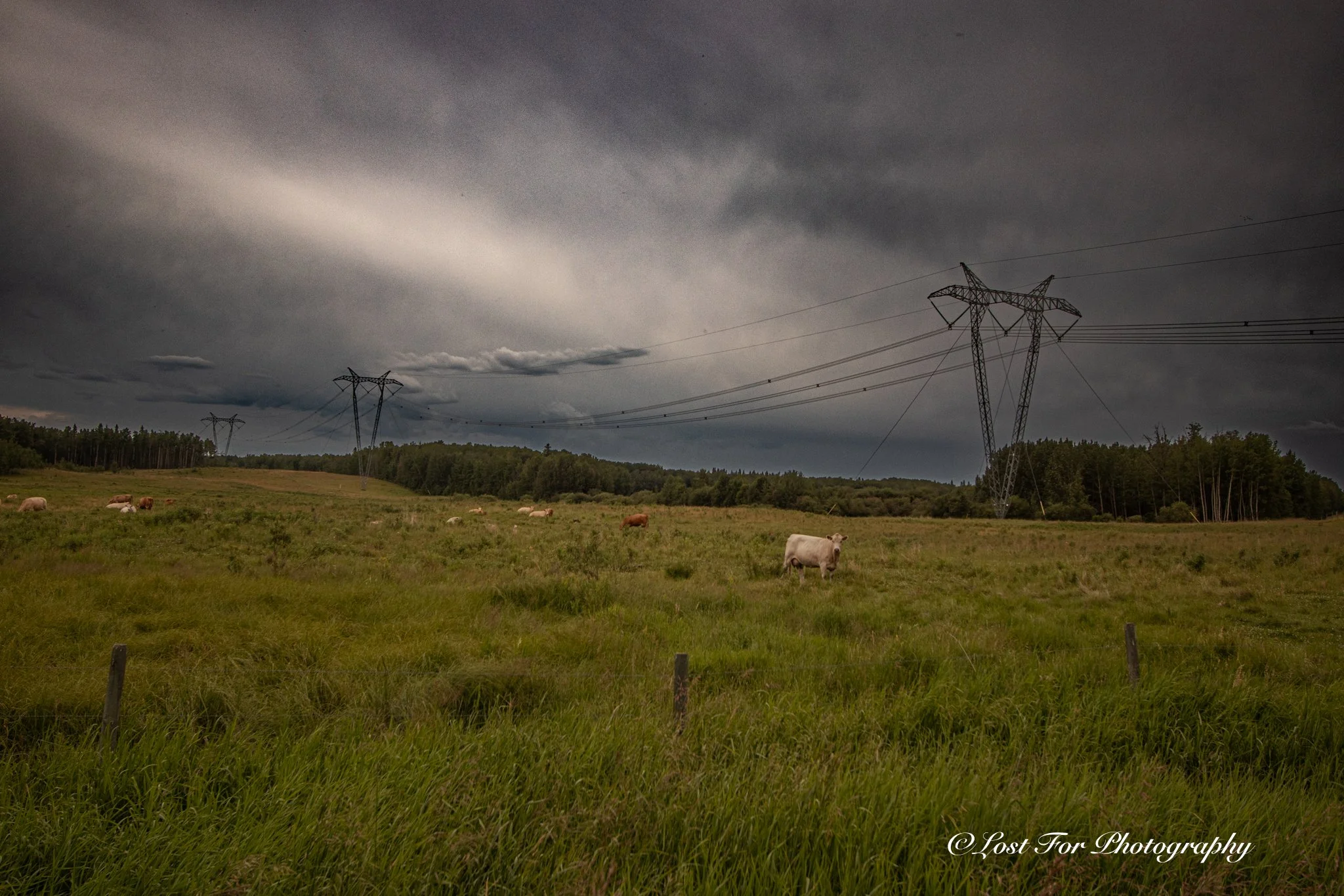 Countryside Storm