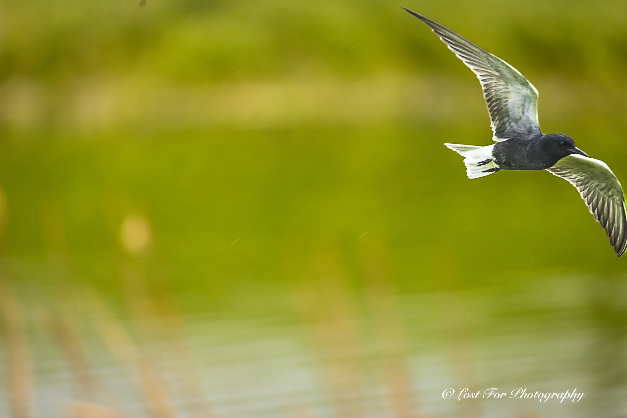 Glide