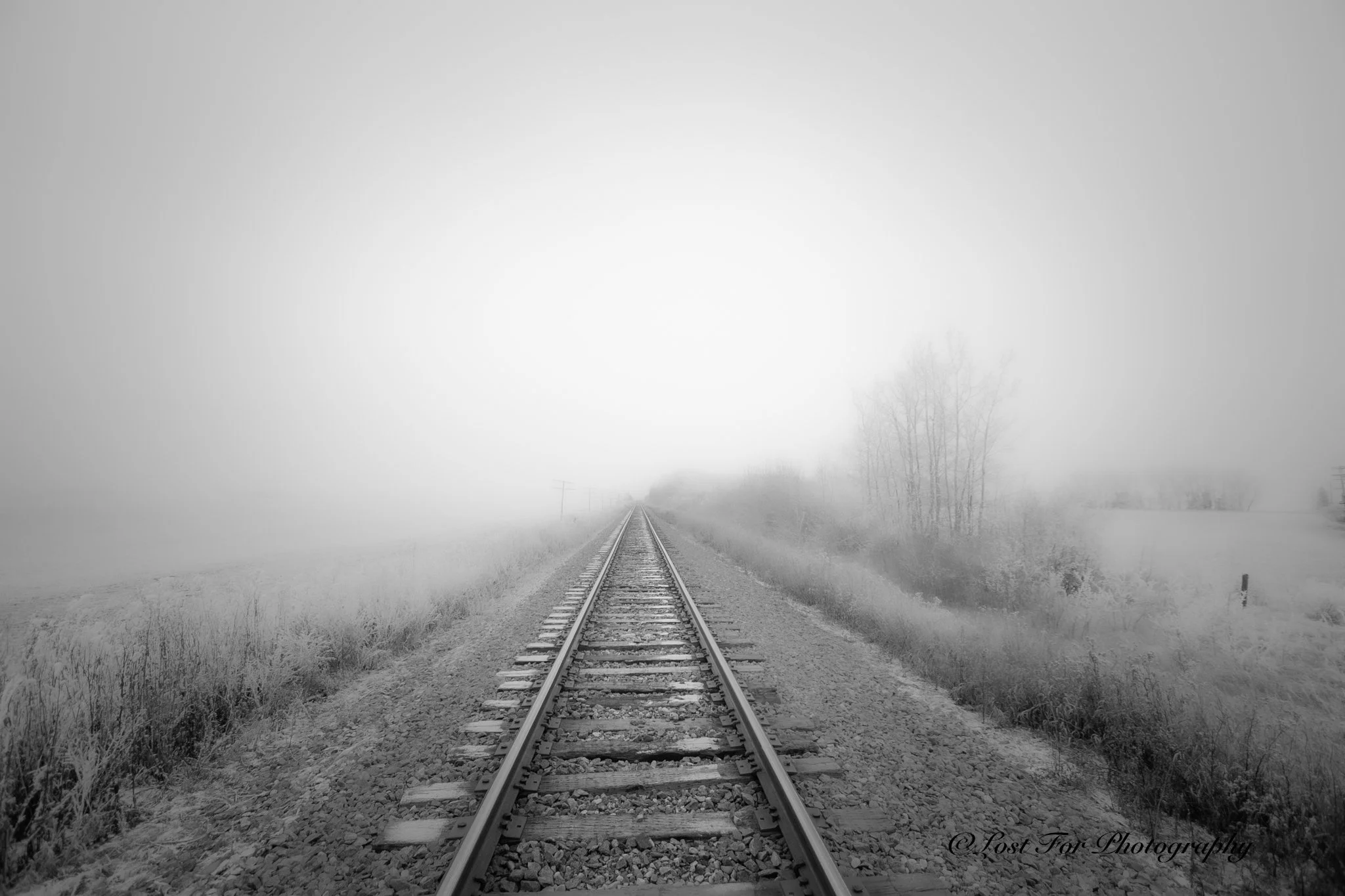 Foggy Rails