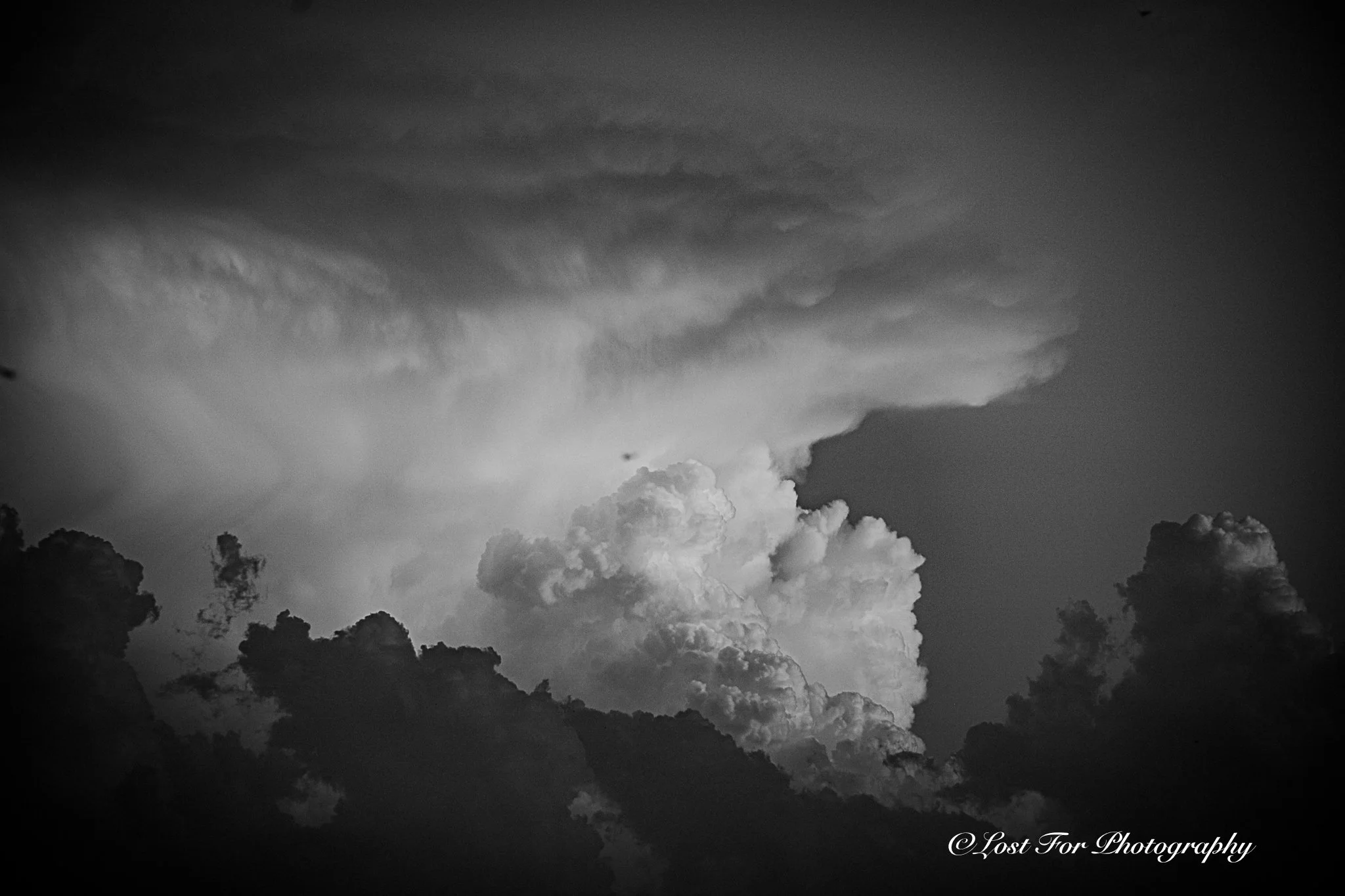 The Anvil