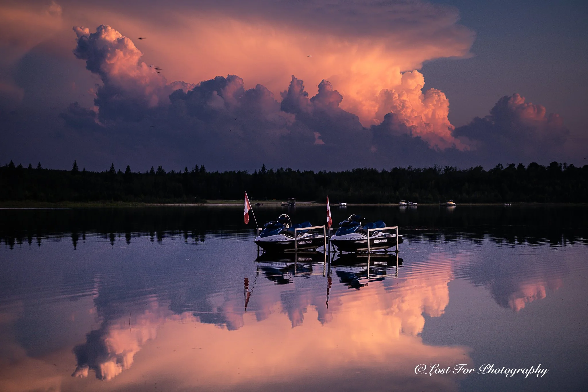 The Purple Calm