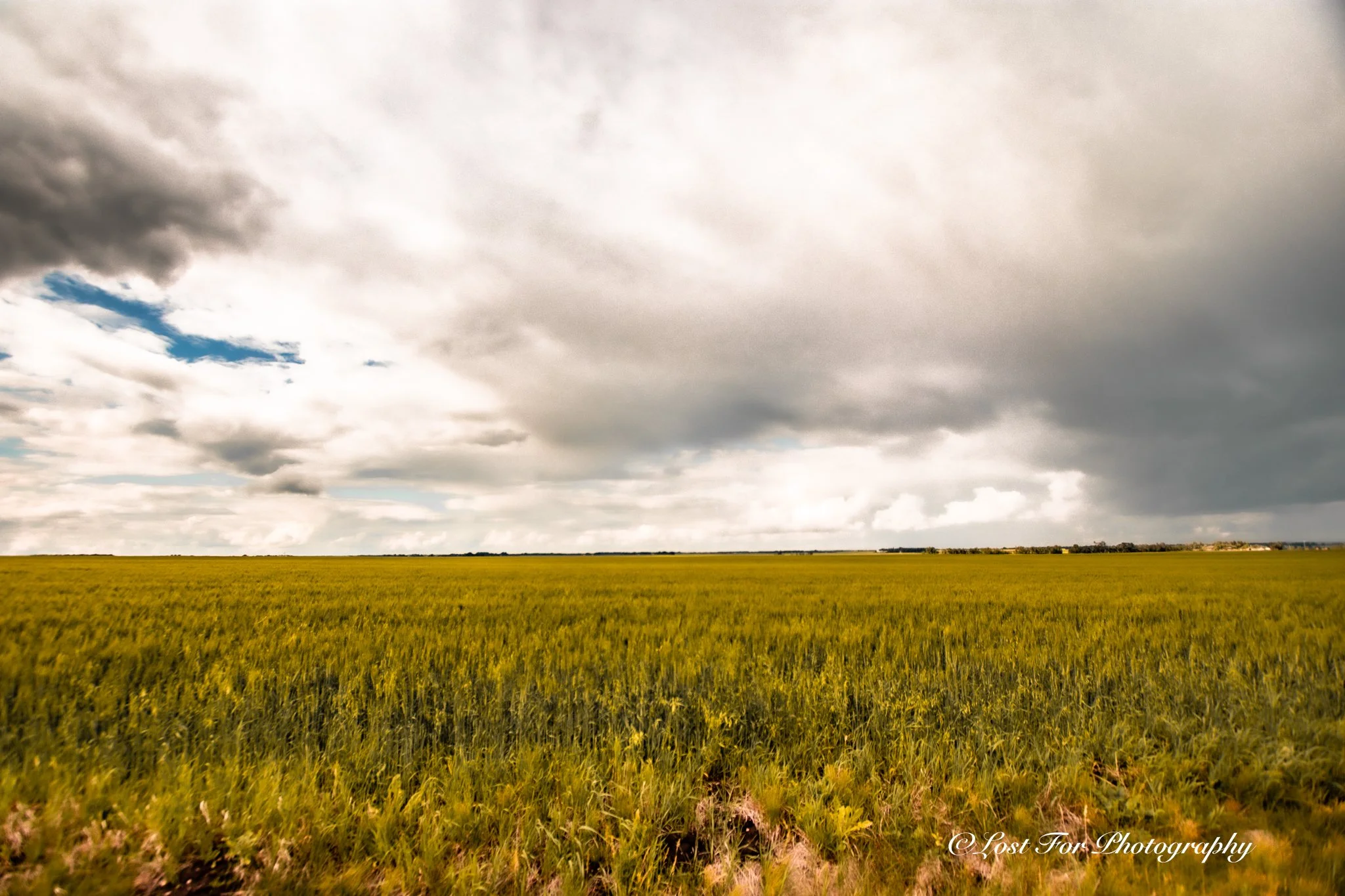 Country Wind