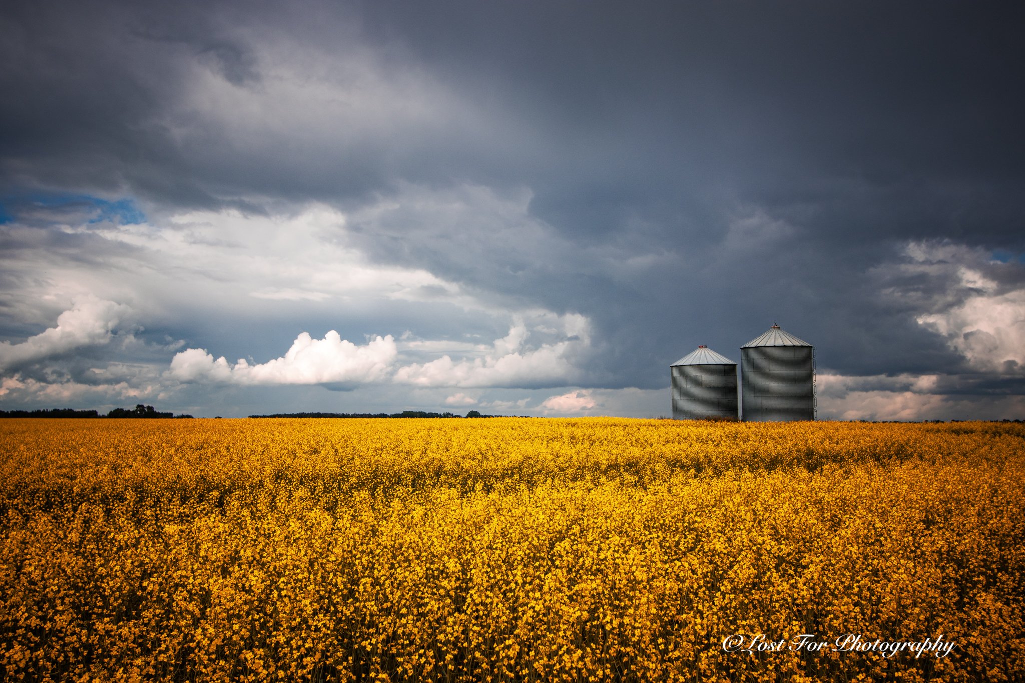 Golden Storm