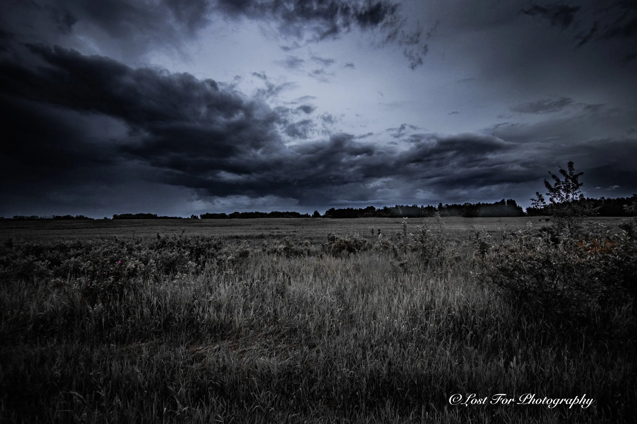 Violent Skies